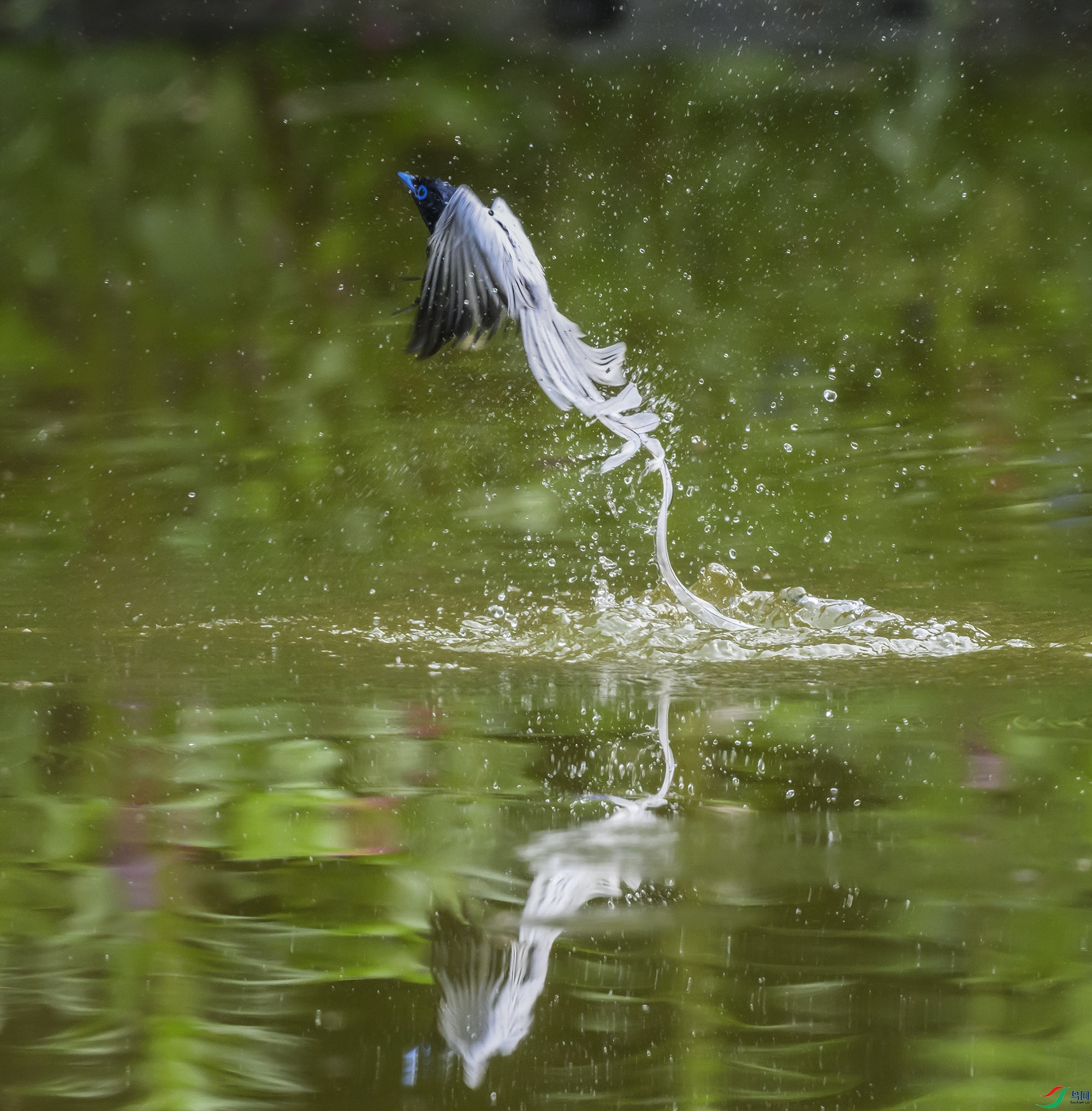 DSC_7490-2.jpg