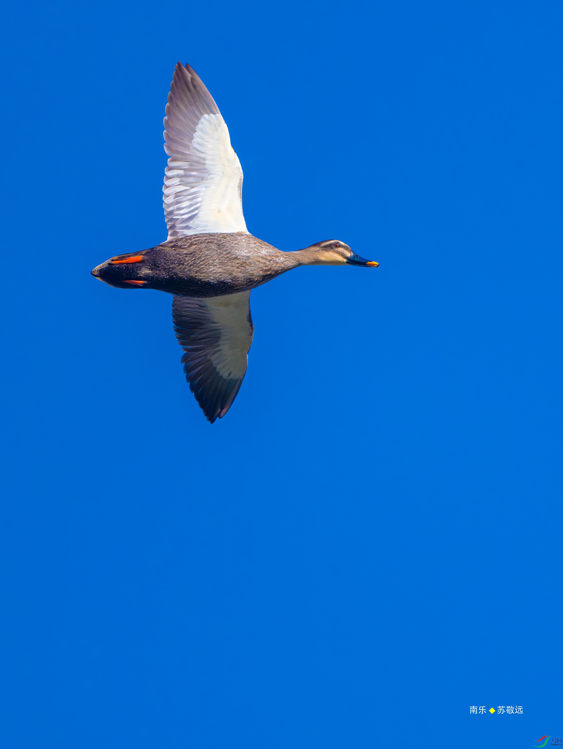 _DSC8912-DxO_С.jpg