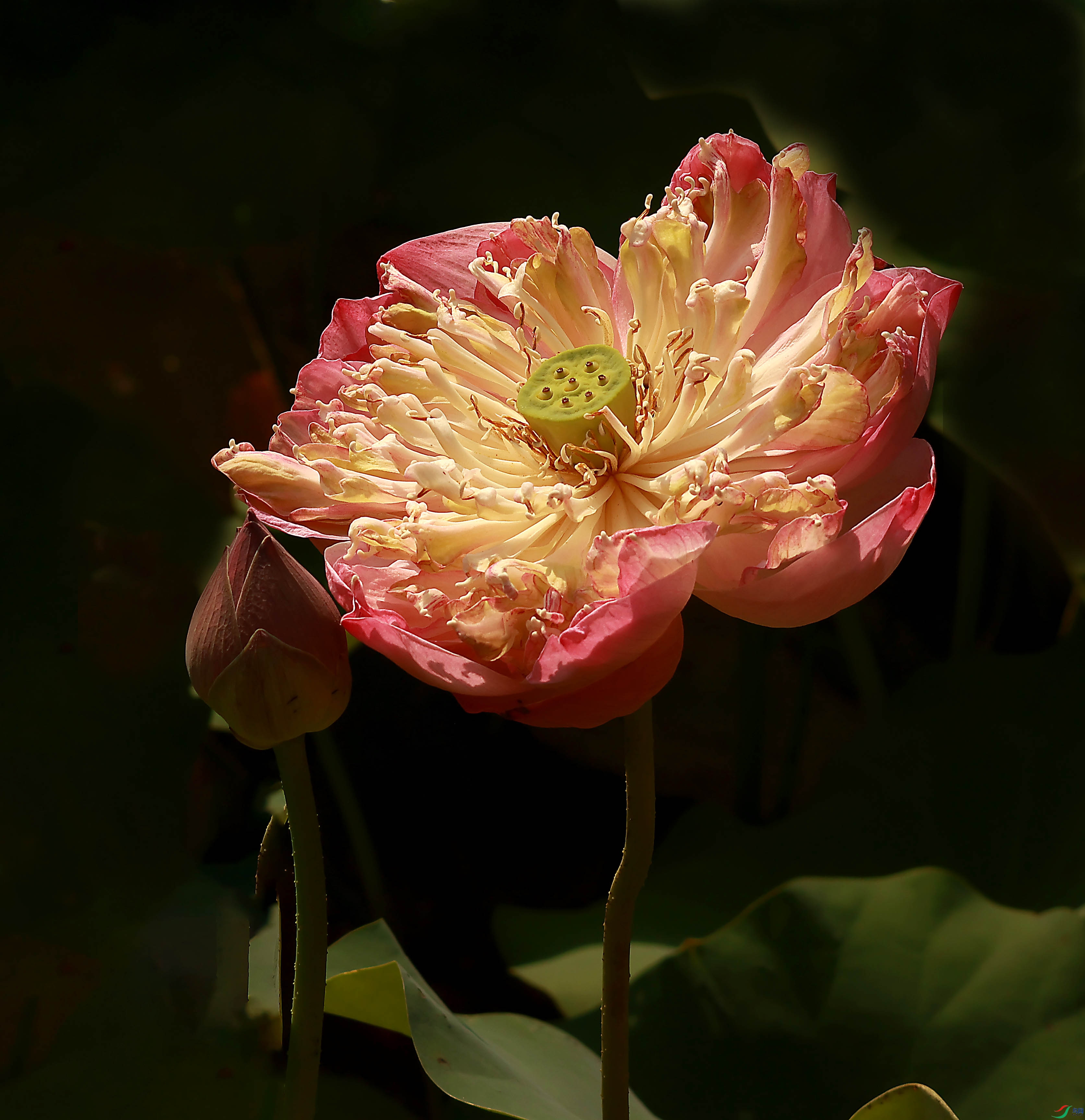 2G9A3257.JPG