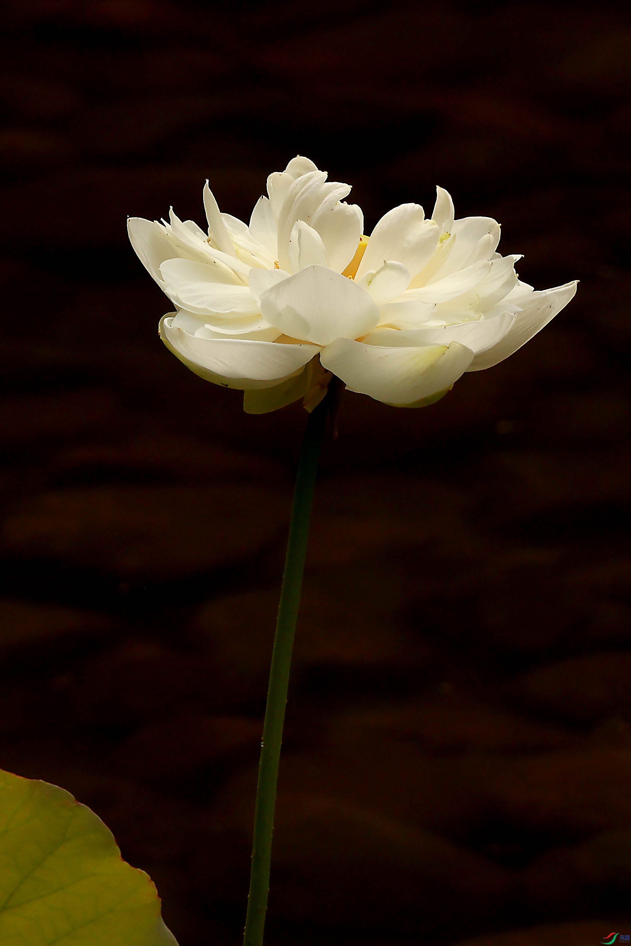 2G9A3287.JPG