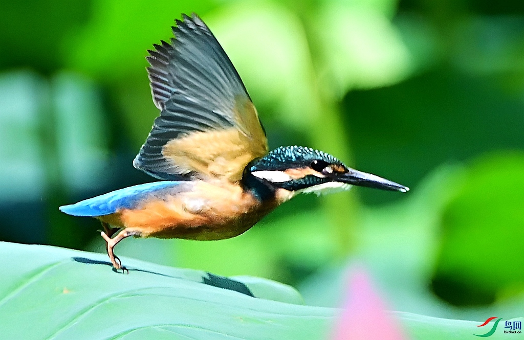 DSC_5260.JPG