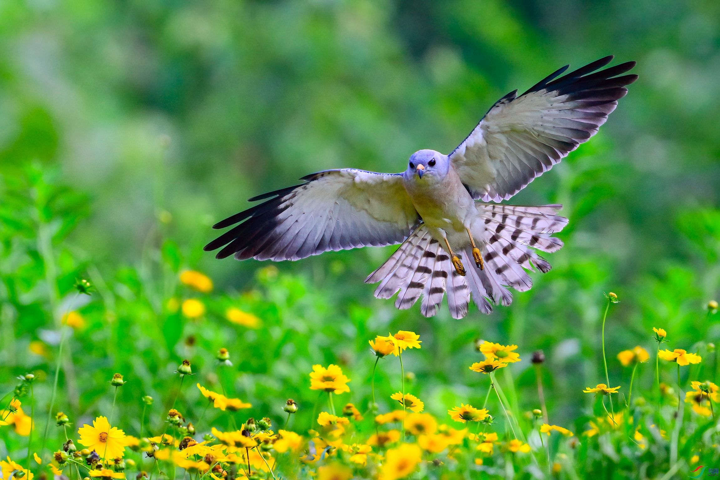 _DSC2758x.jpg