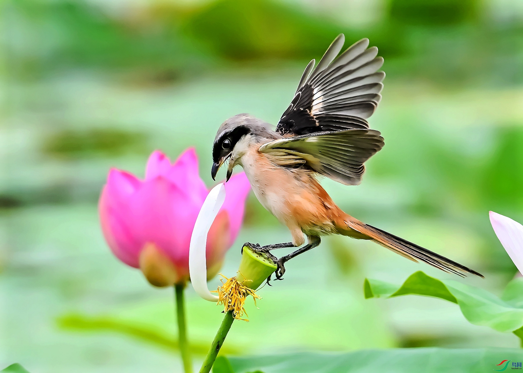 DSC_3822�ͻ�����.jpg