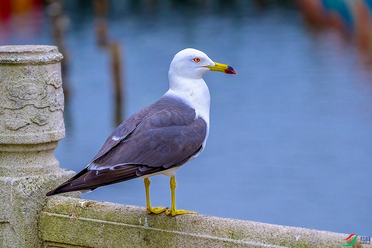 DSC_9714b.jpg