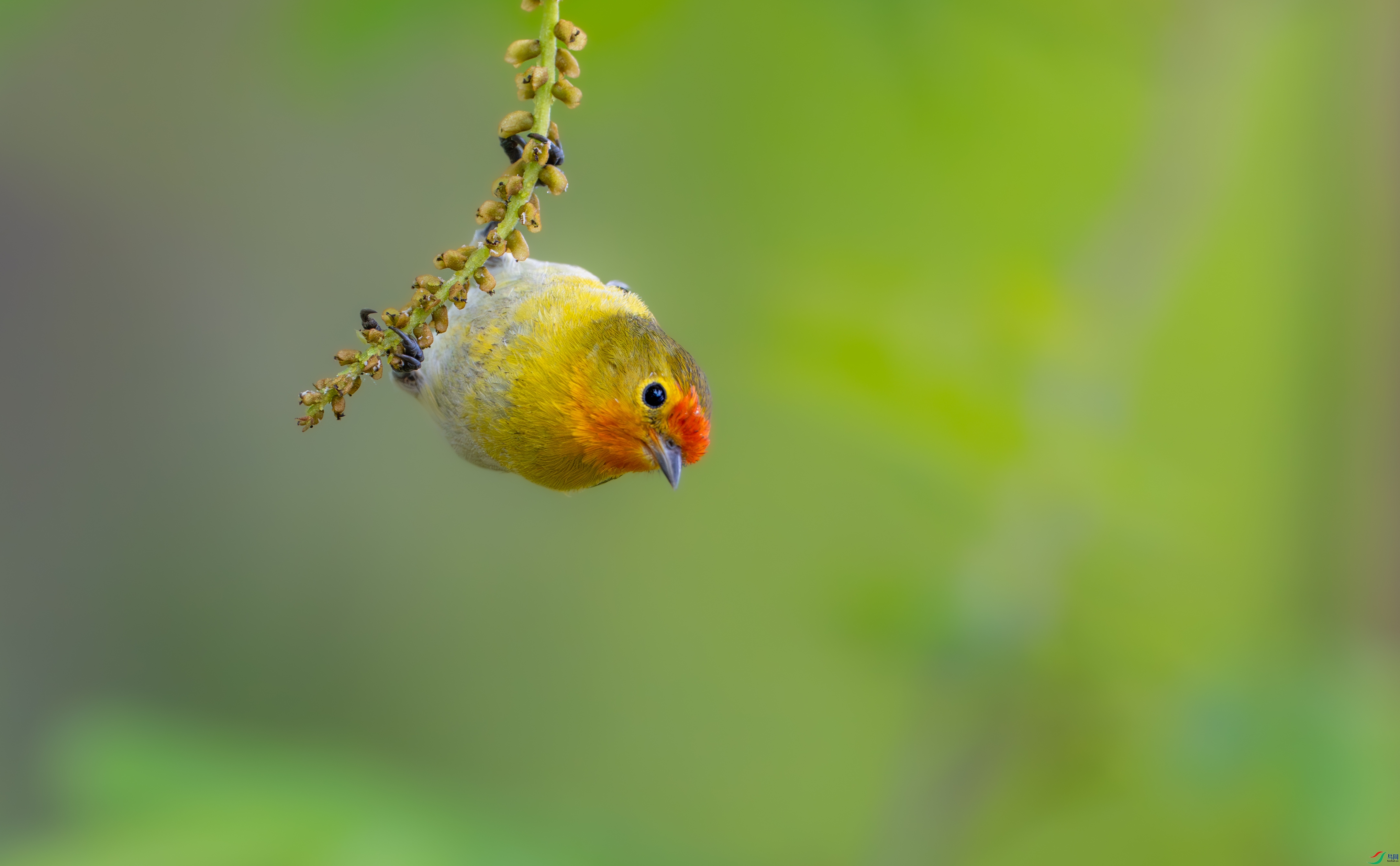 DSC_1842-1.jpg
