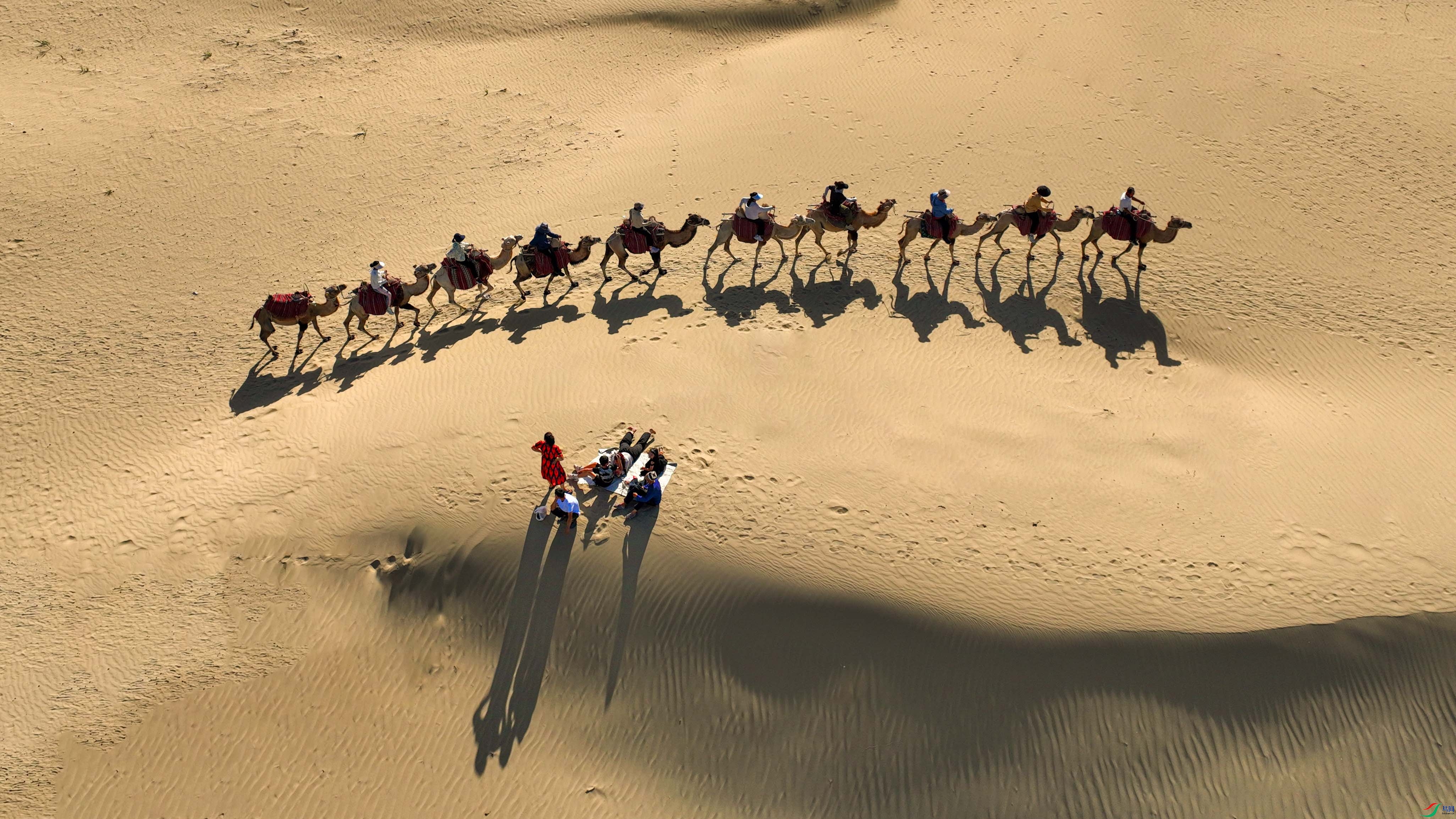 DJI_0246.JPG