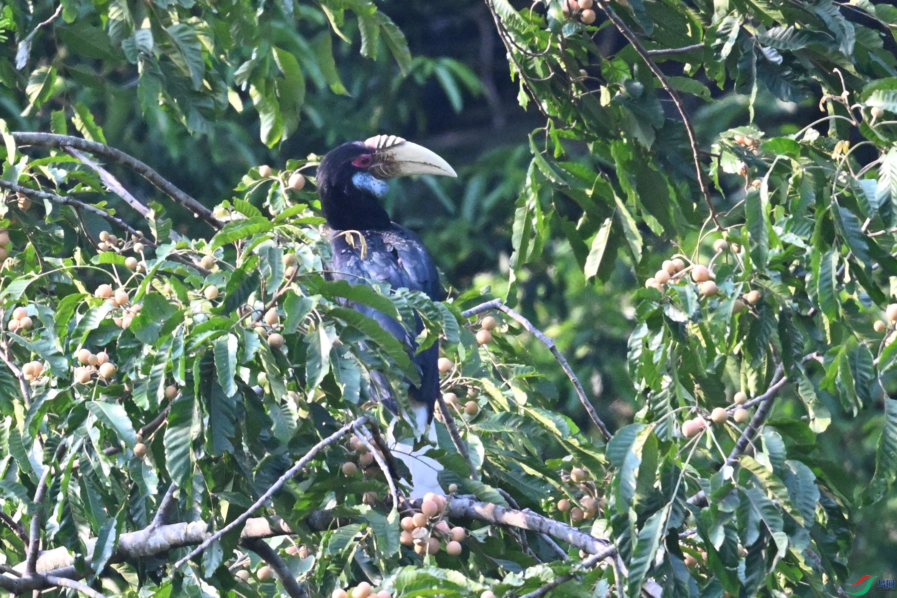 DSC_5200.JPG