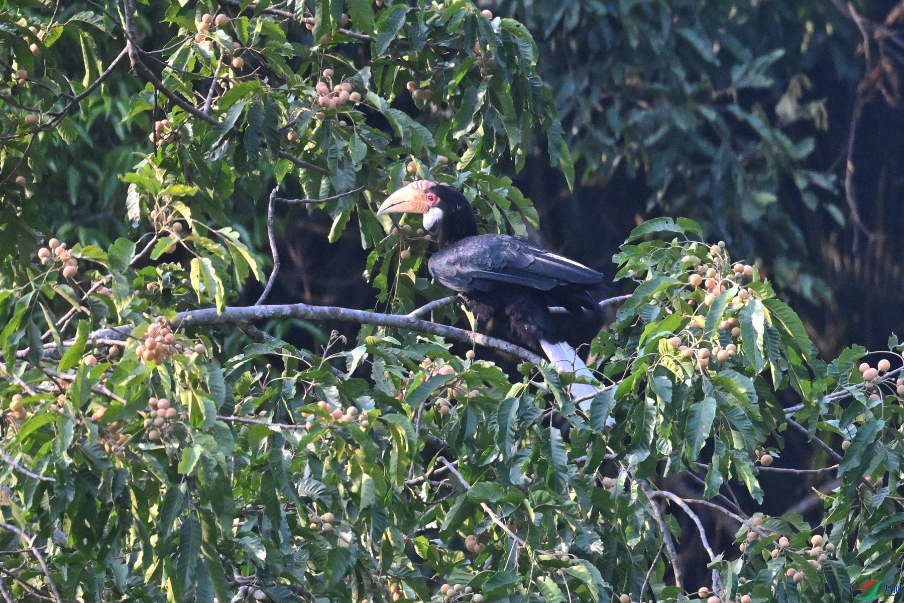 DSC_5222.JPG