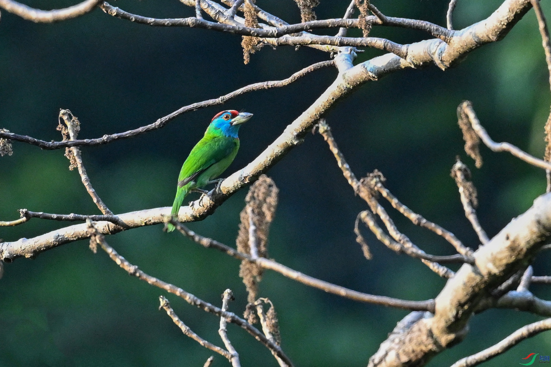 DSC_5181.JPG