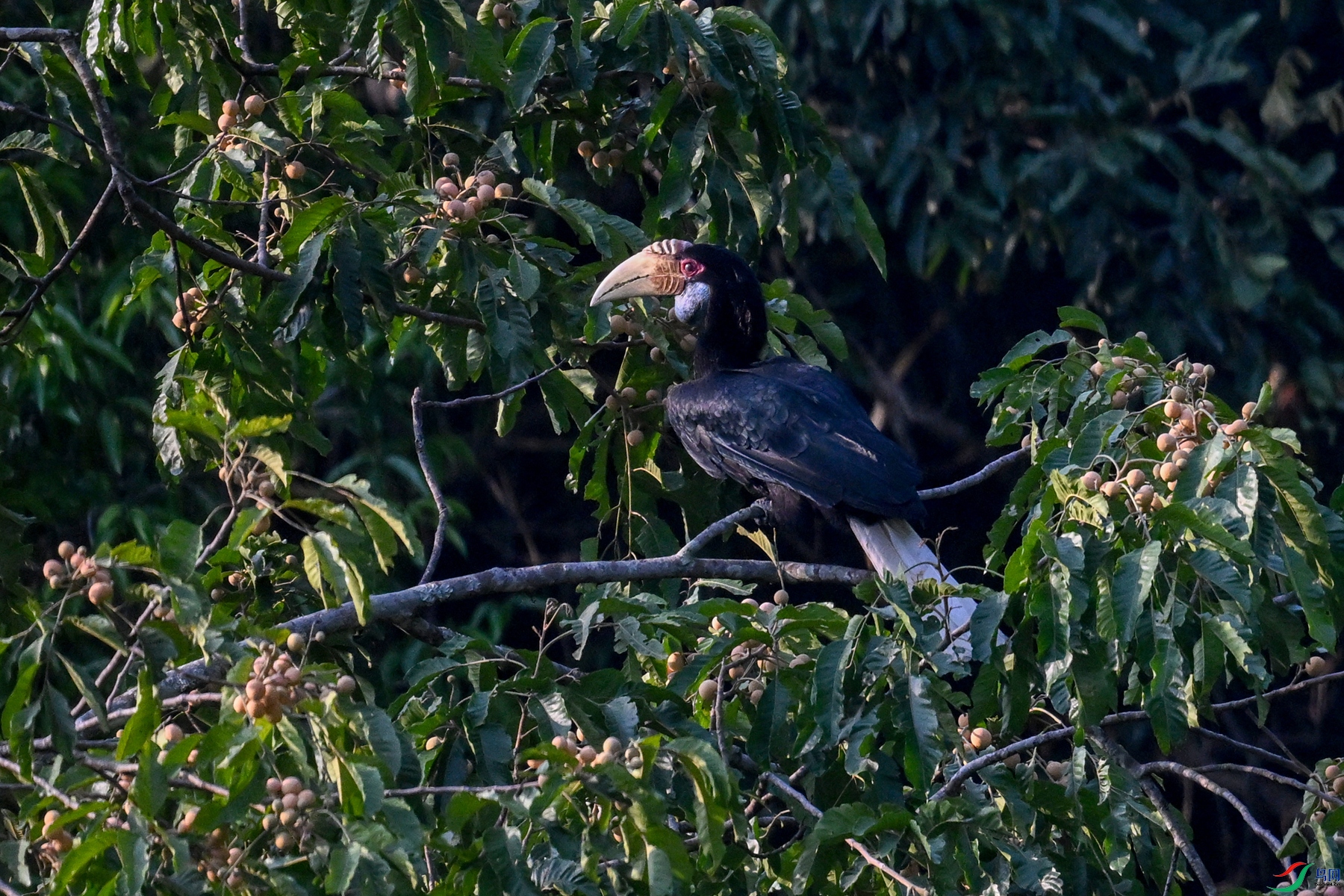 DSC_5226.JPG