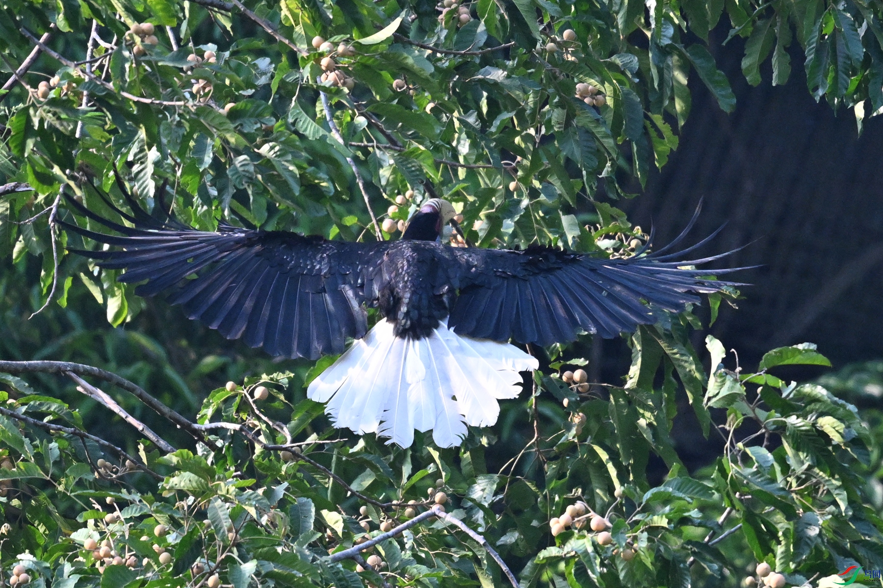 DSC_5204.JPG