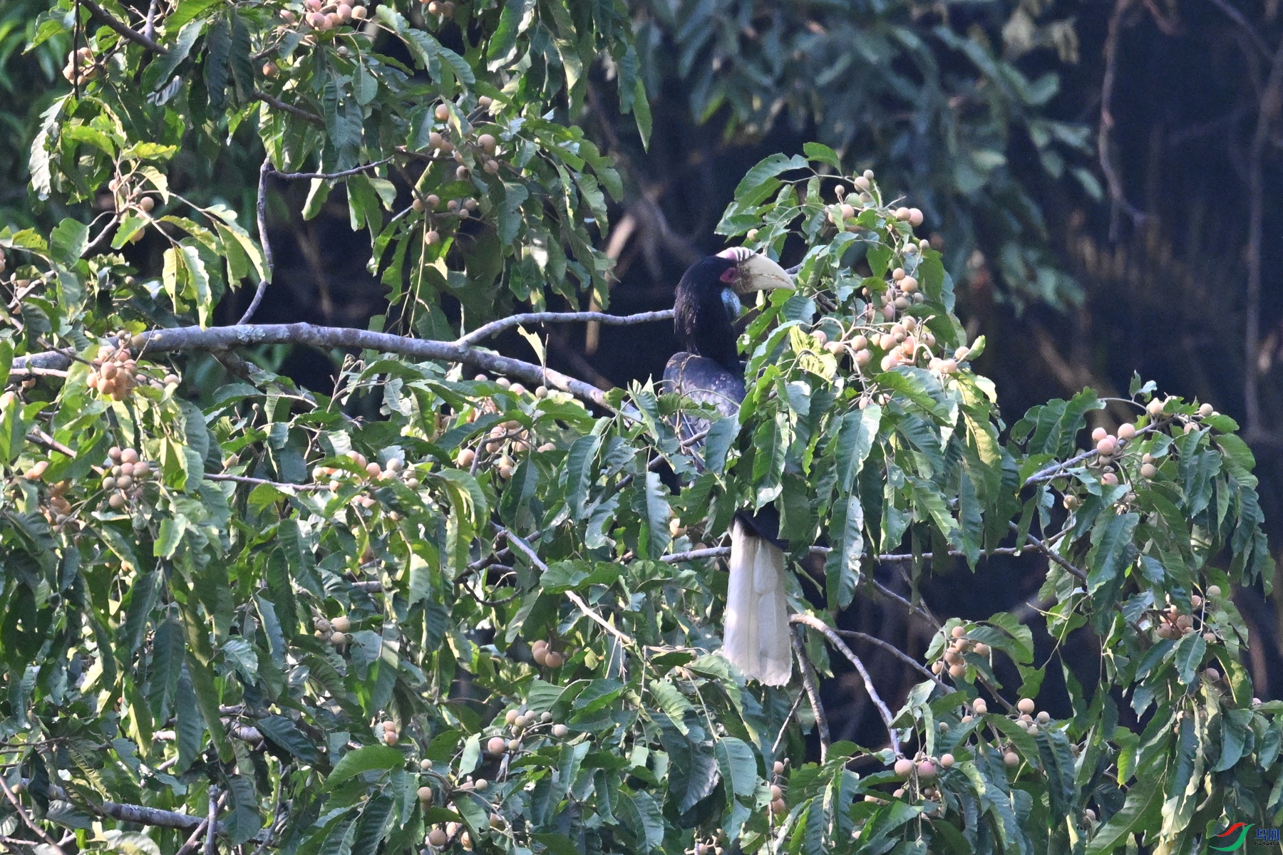 DSC_5214.JPG