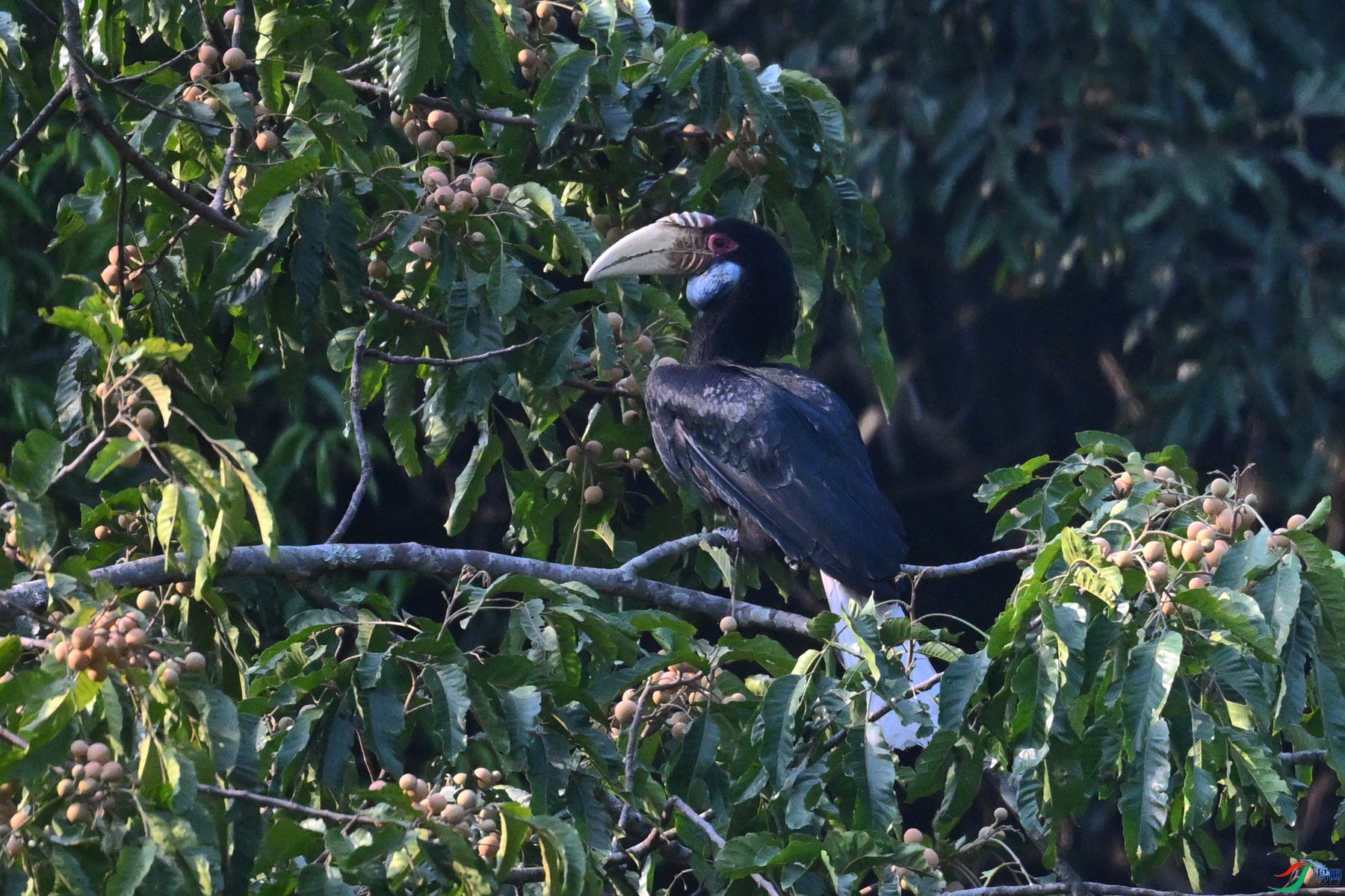 DSC_5234.JPG
