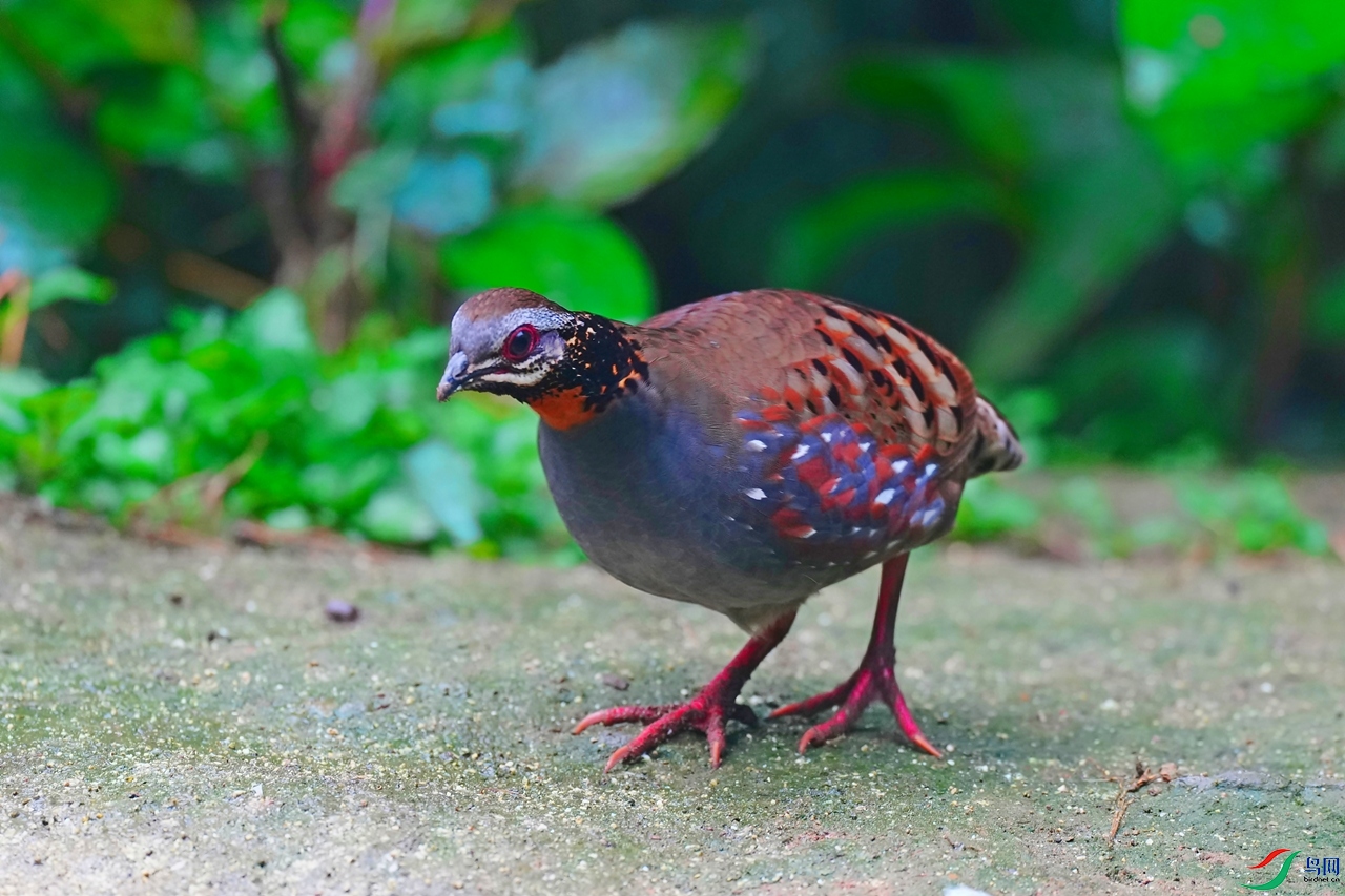 DSC04375.JPG