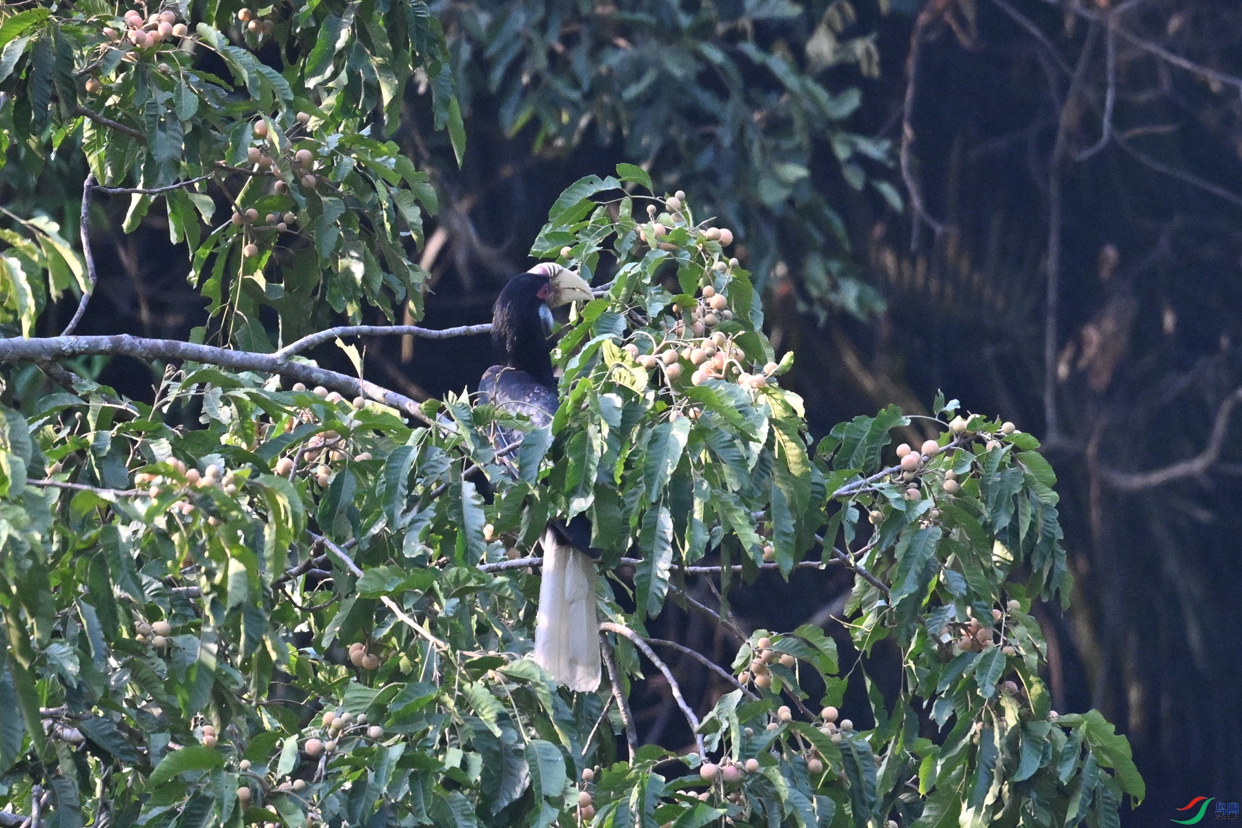 DSC_5216.JPG