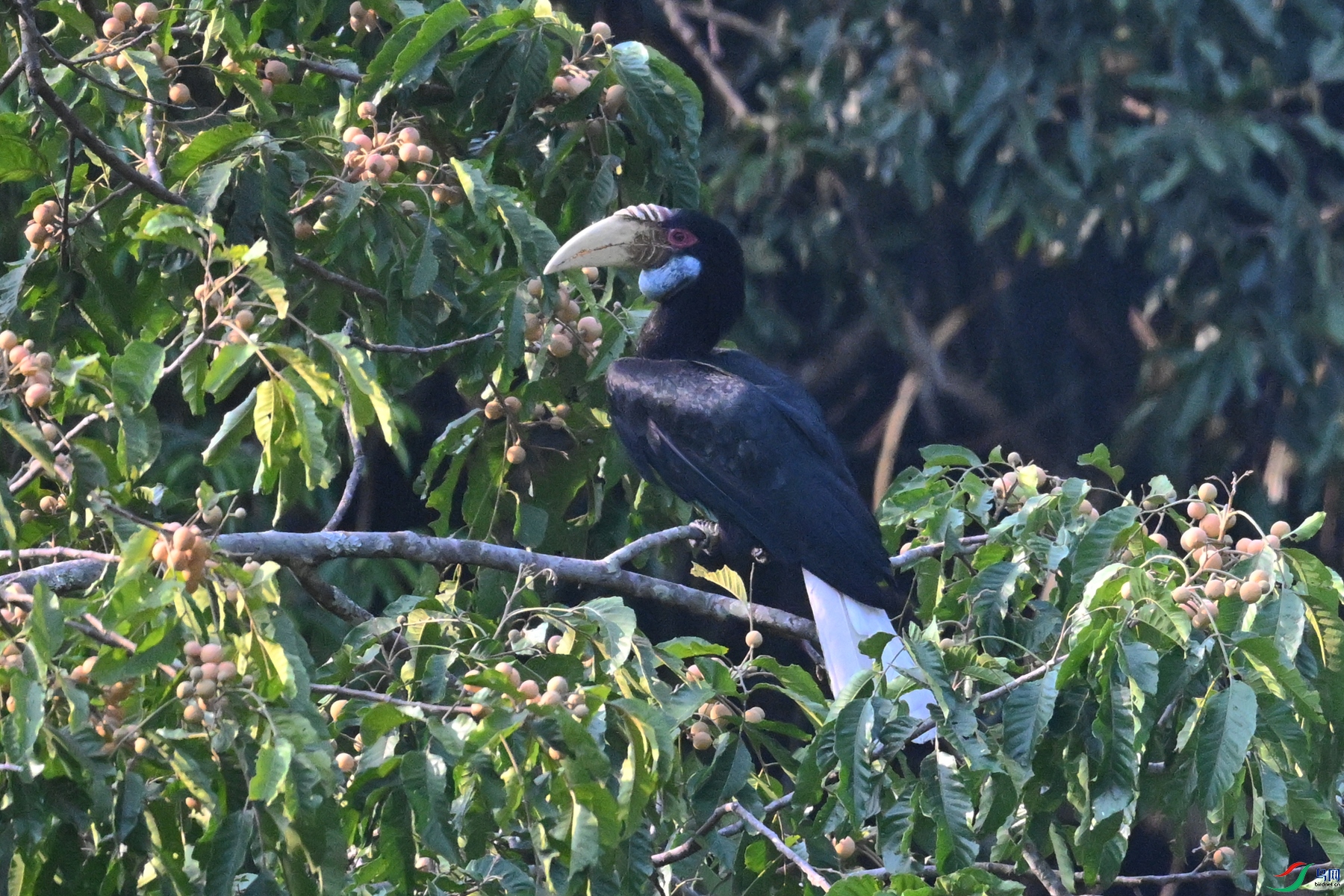 DSC_5236.JPG