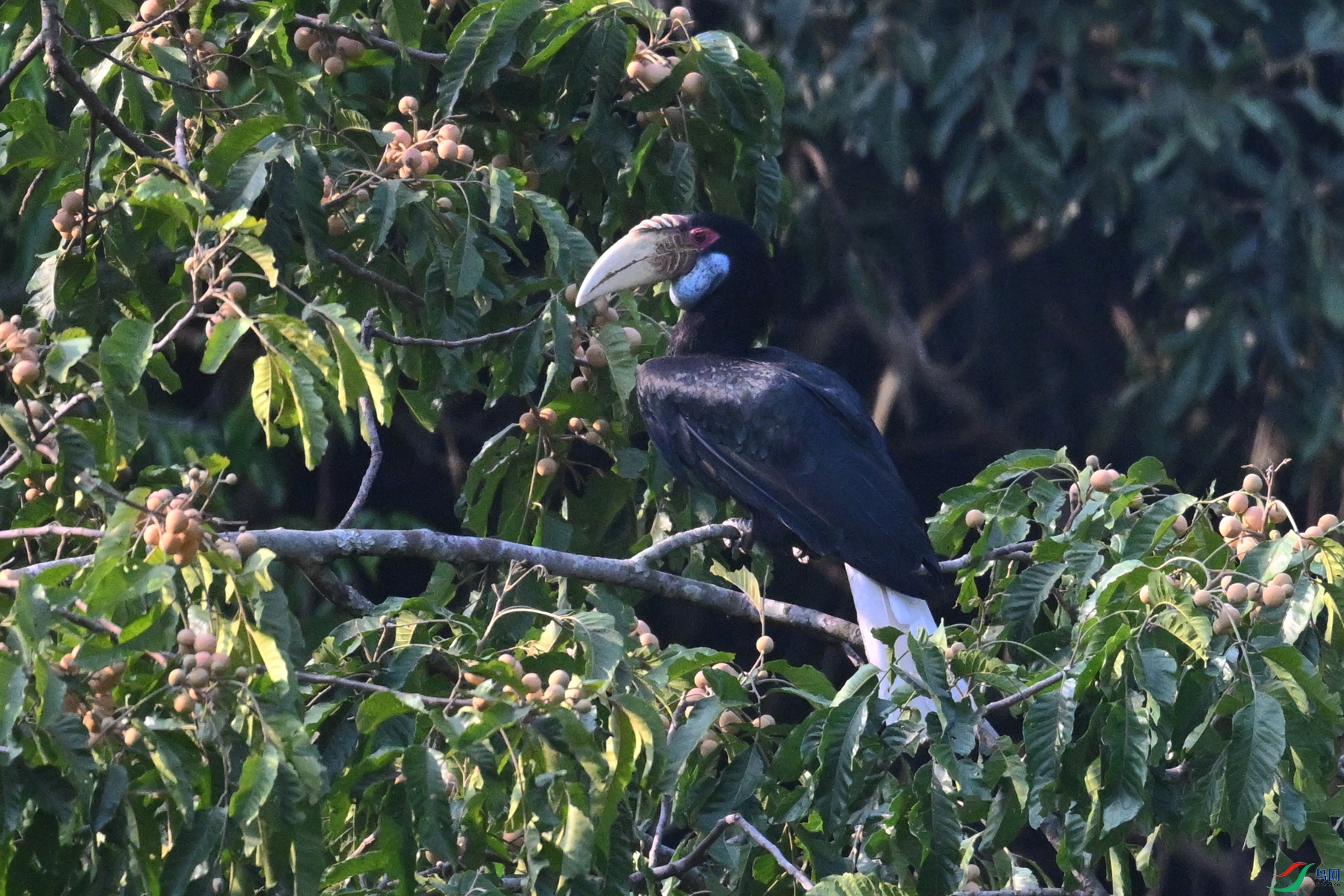 DSC_5239.JPG
