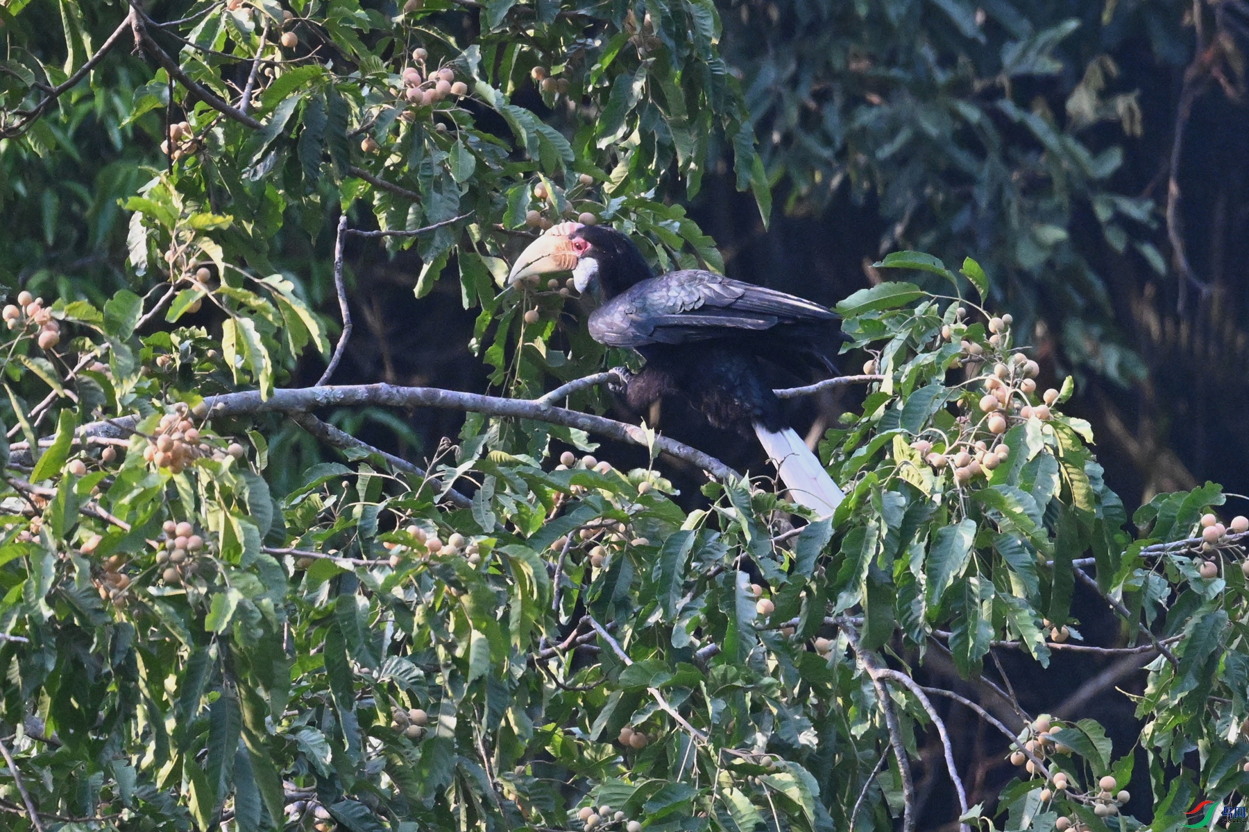 DSC_5220.JPG