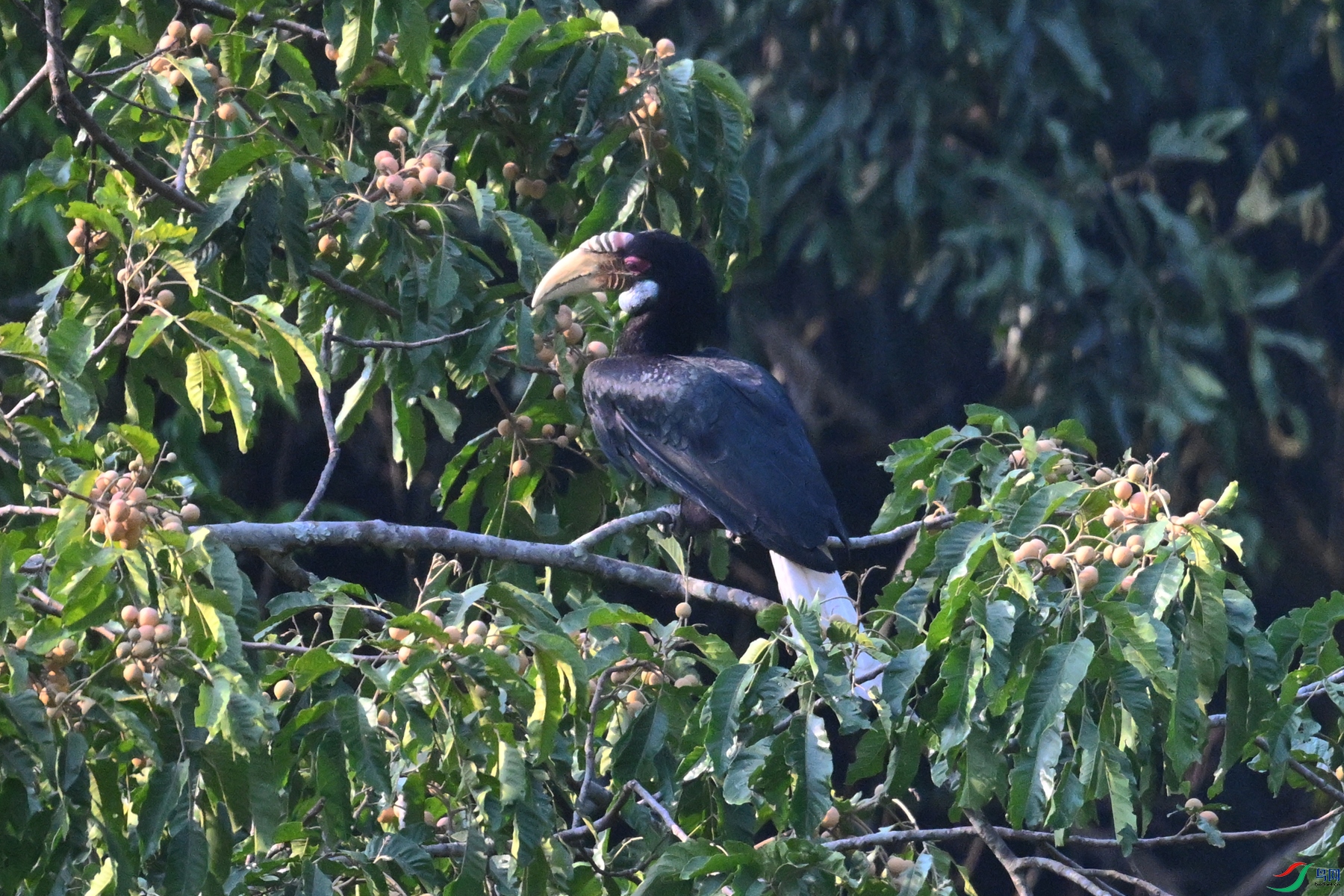 DSC_5244.JPG