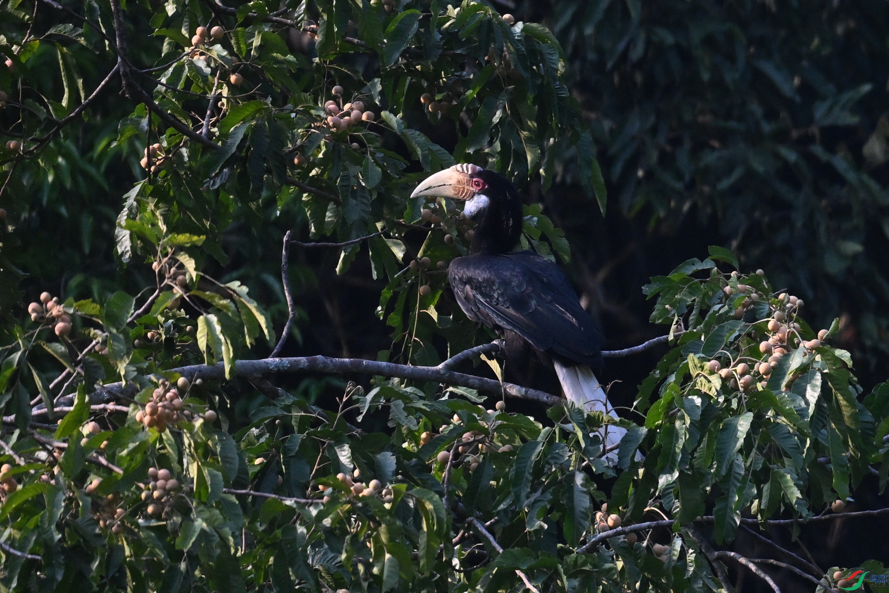 DSC_5225.JPG