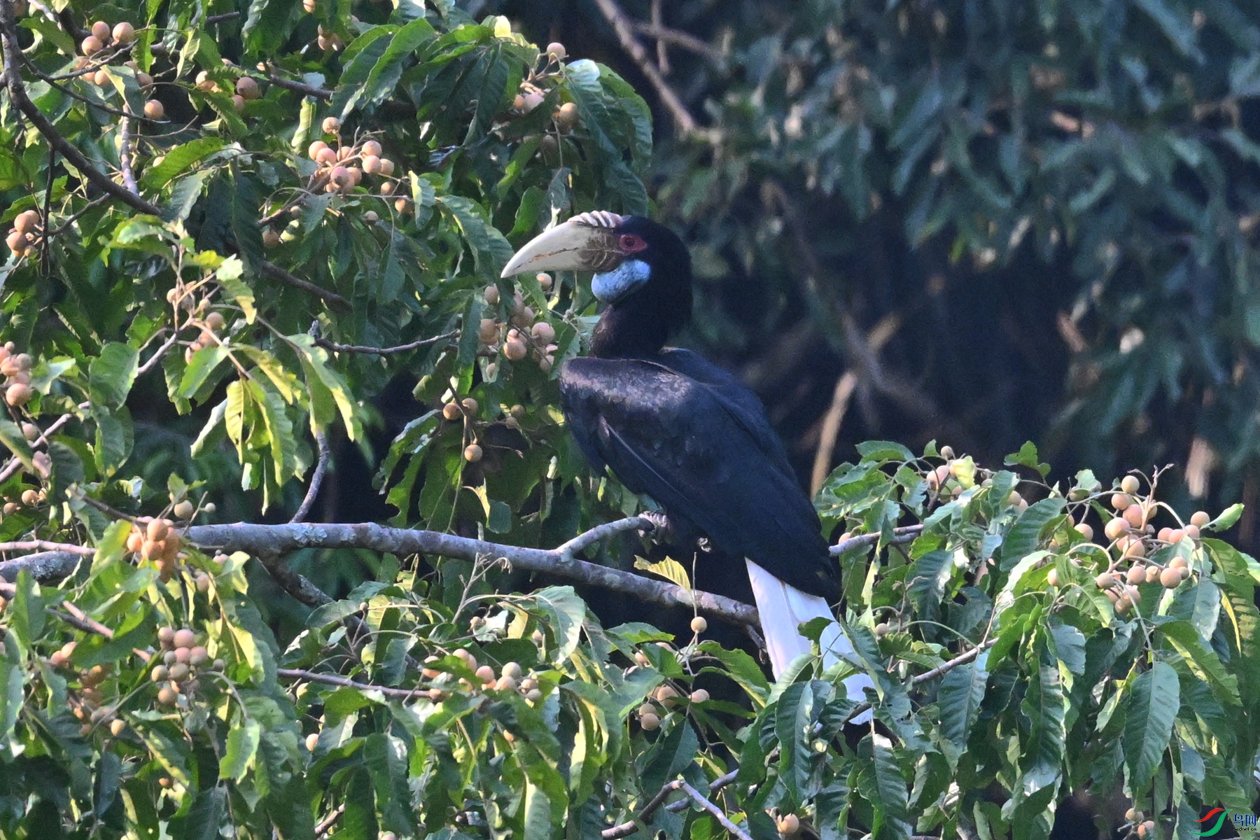 DSC_5235.JPG