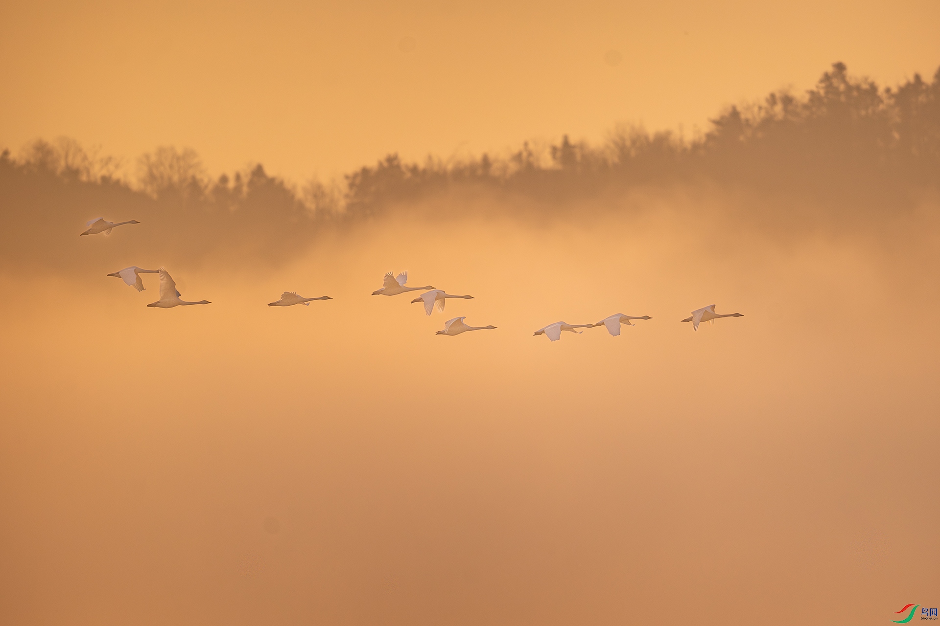DSC_7445.jpg