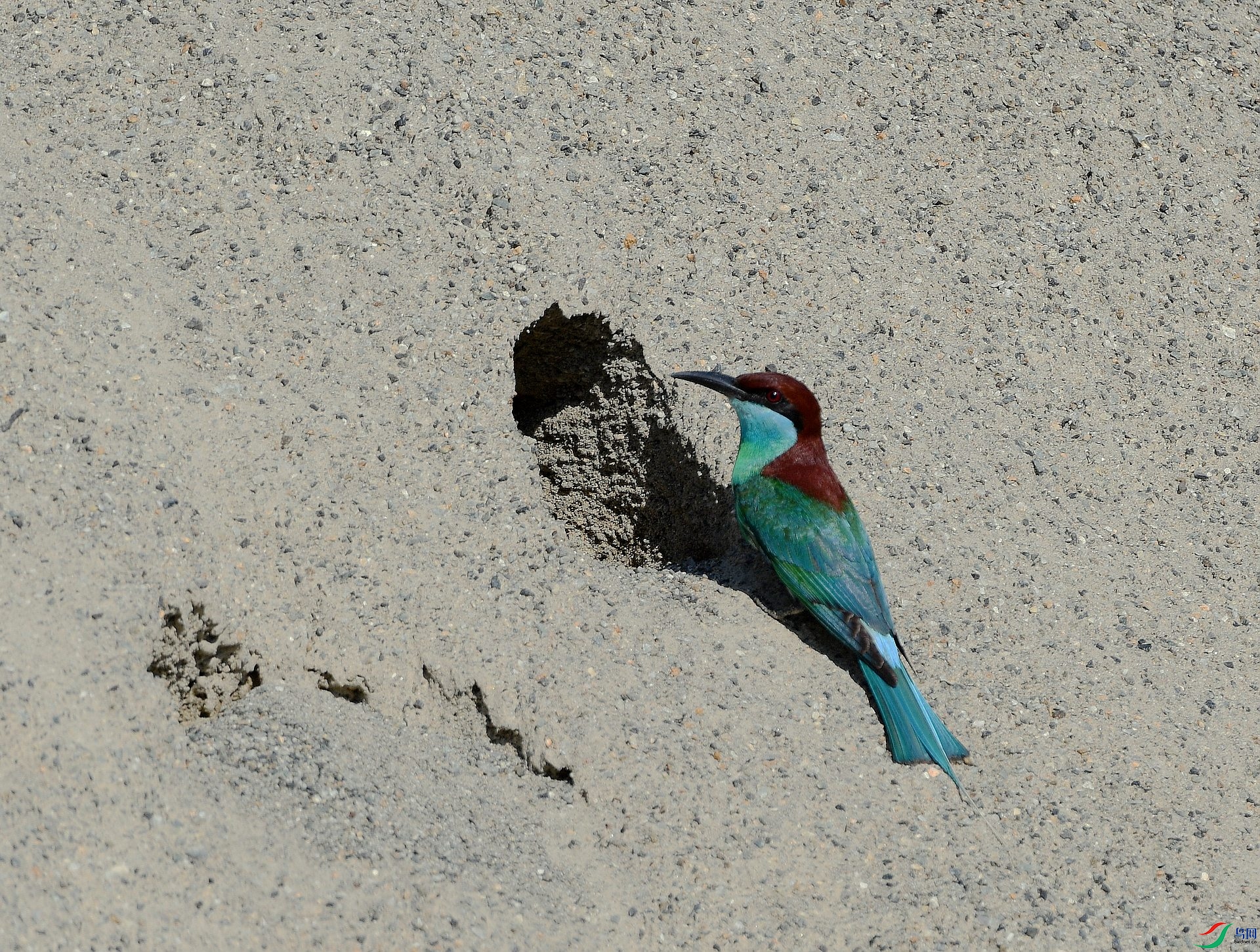 DSC_0626.jpg