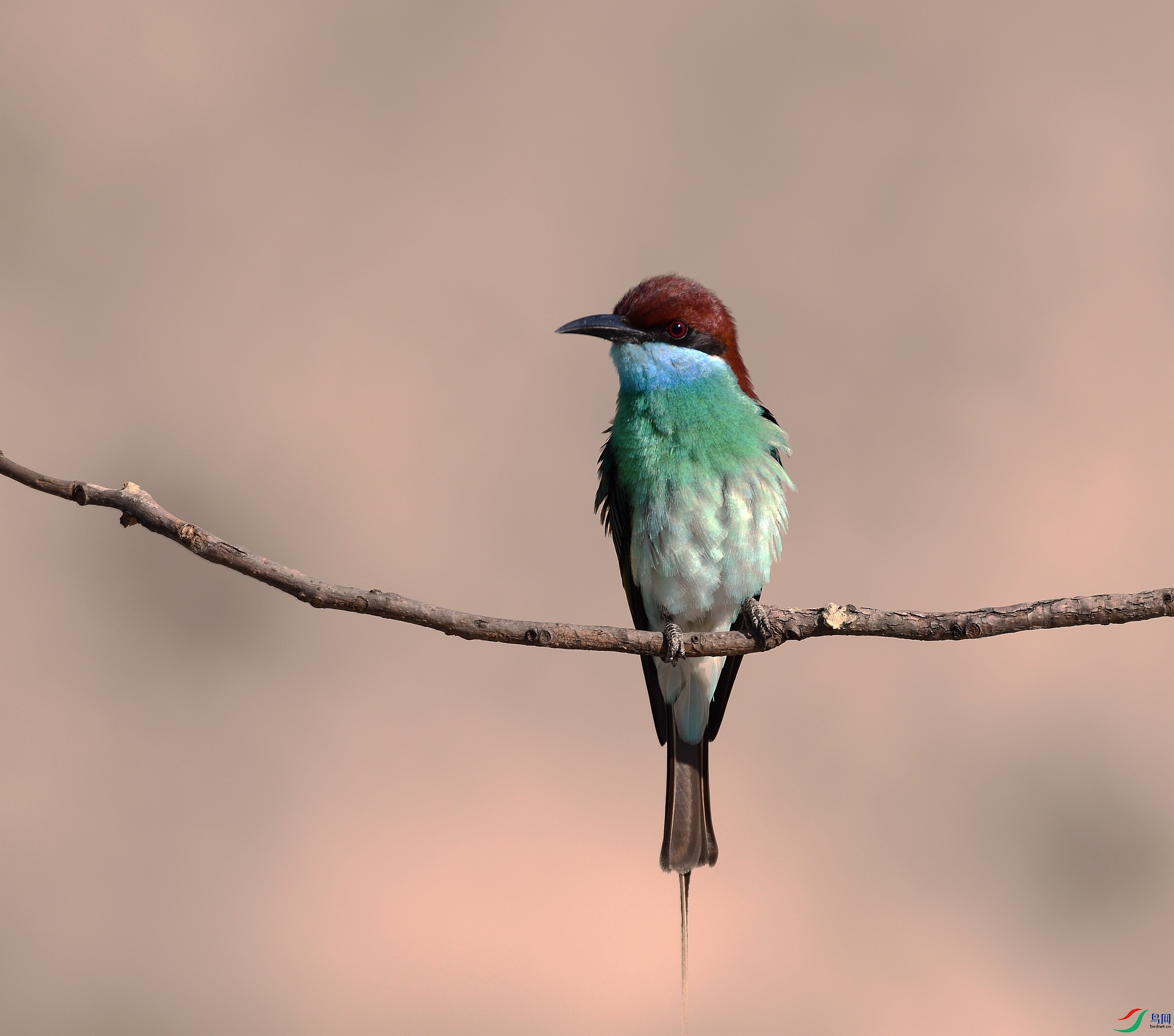 DSC_0301.jpg