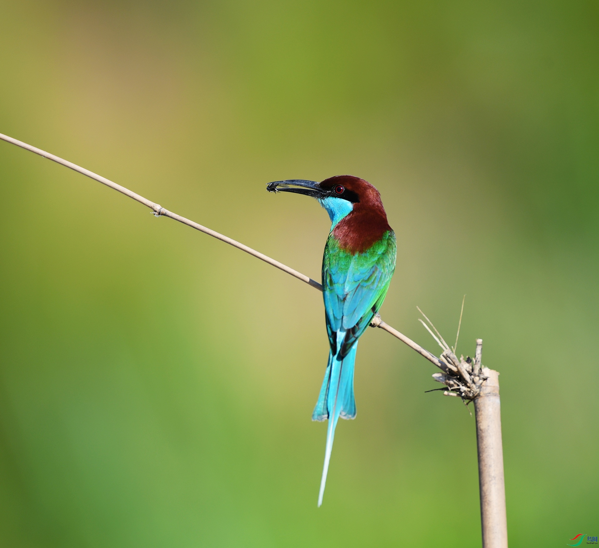 DSC_0254.jpg