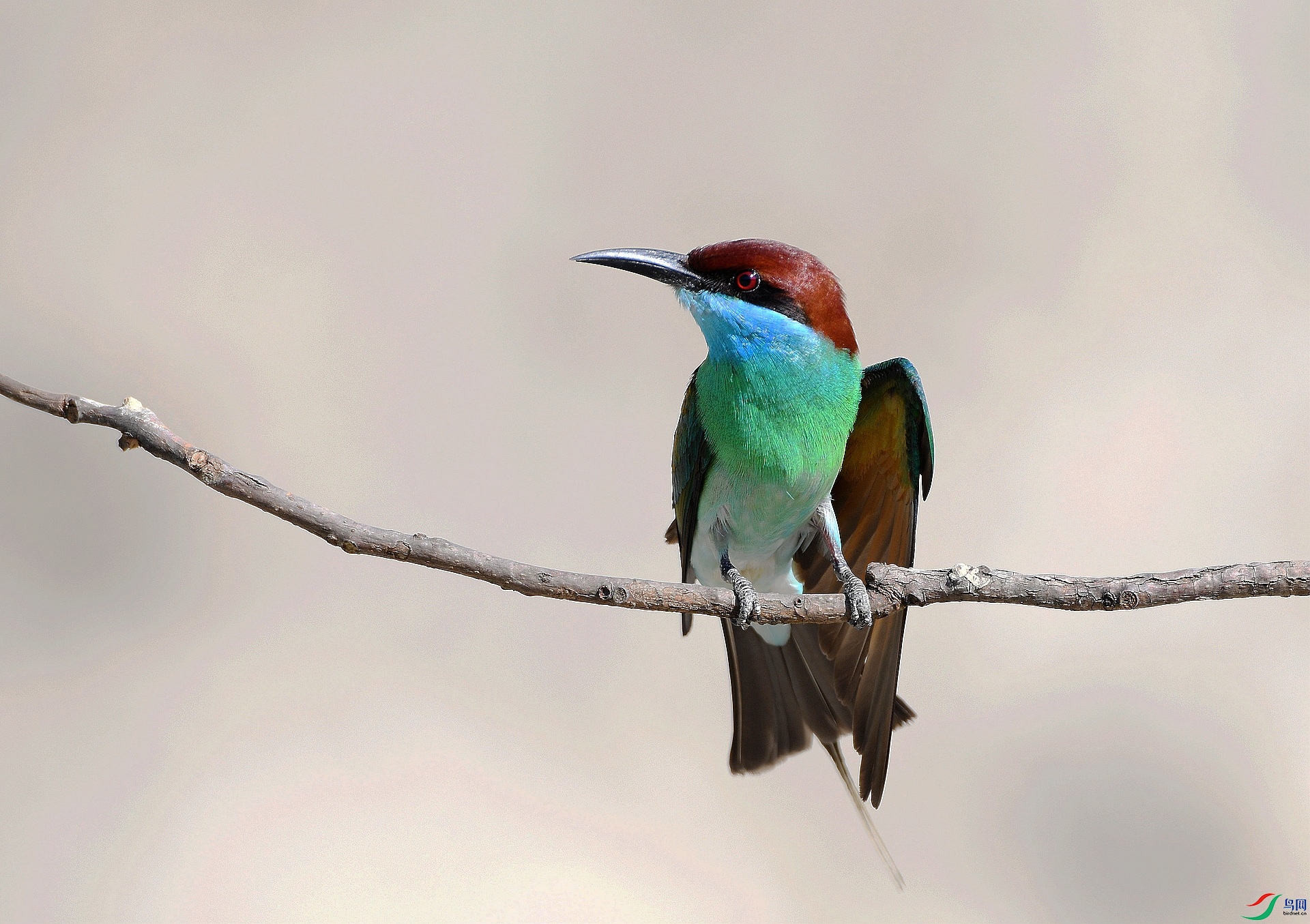 DSC_0727.jpg