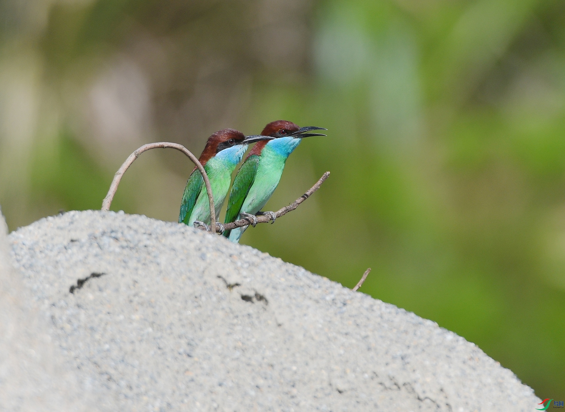 DSC_0744.jpg
