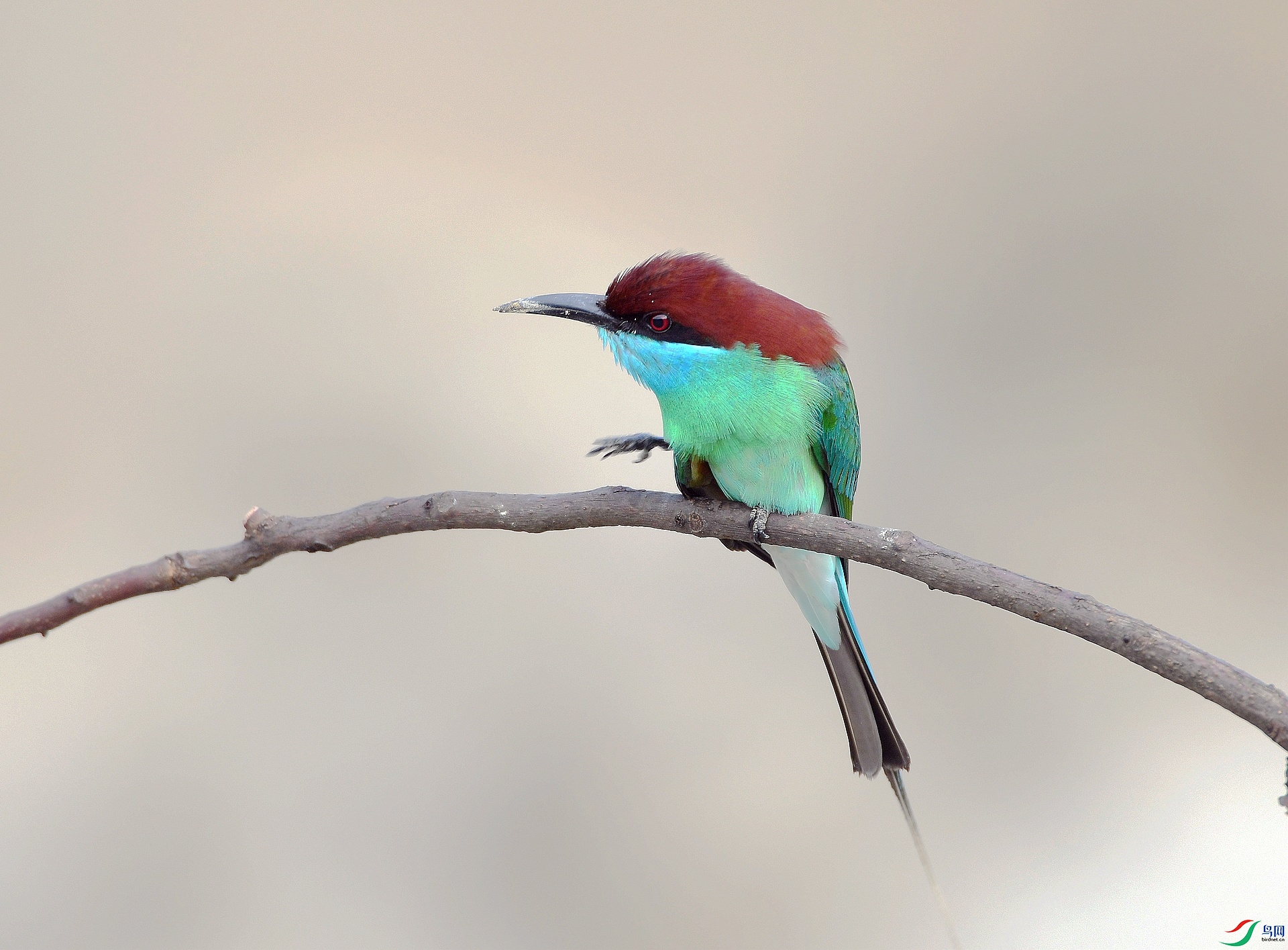 DSC_8721.jpg