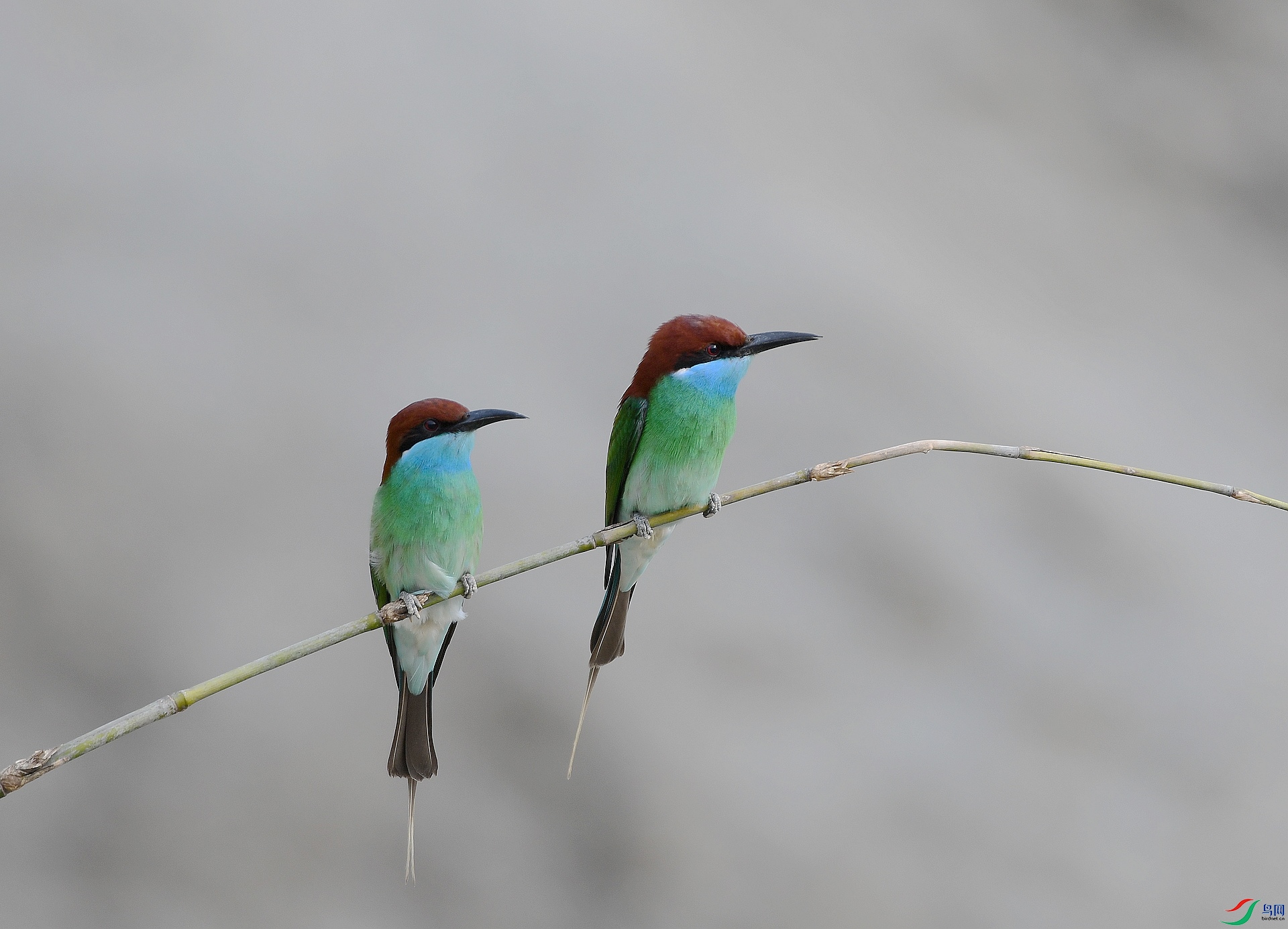 DSC_8488.jpg