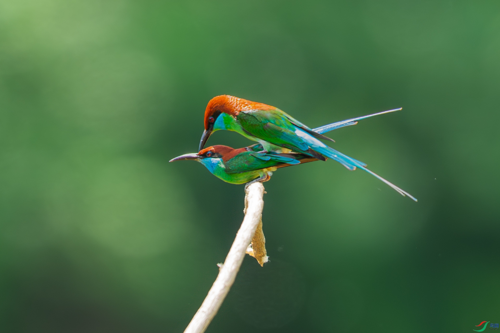 DSC_9422.jpg