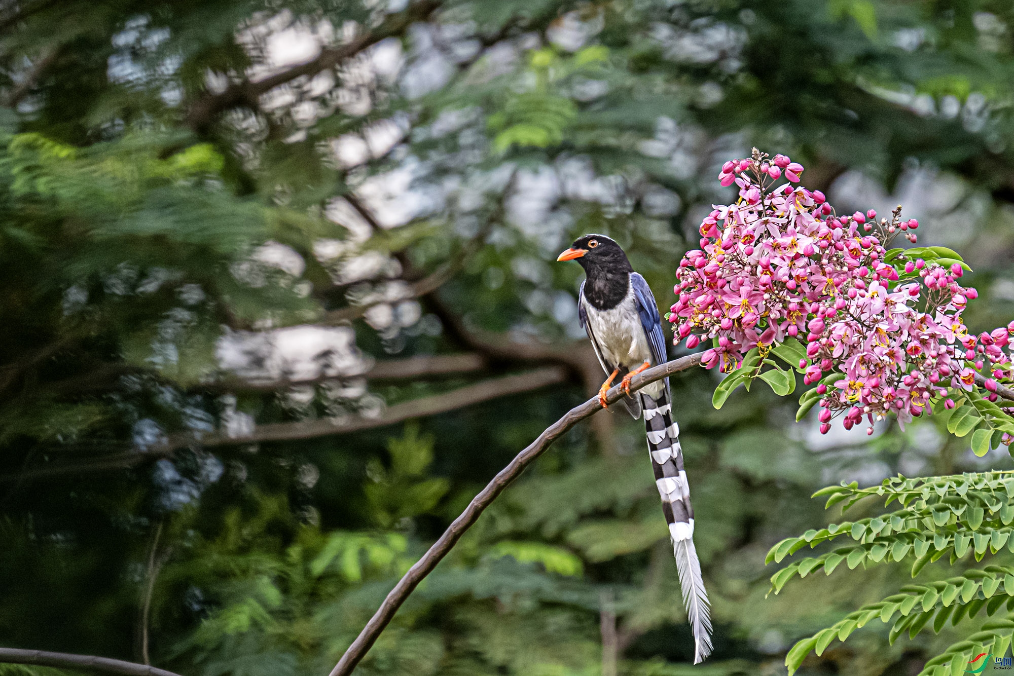 DSC_9456.jpg