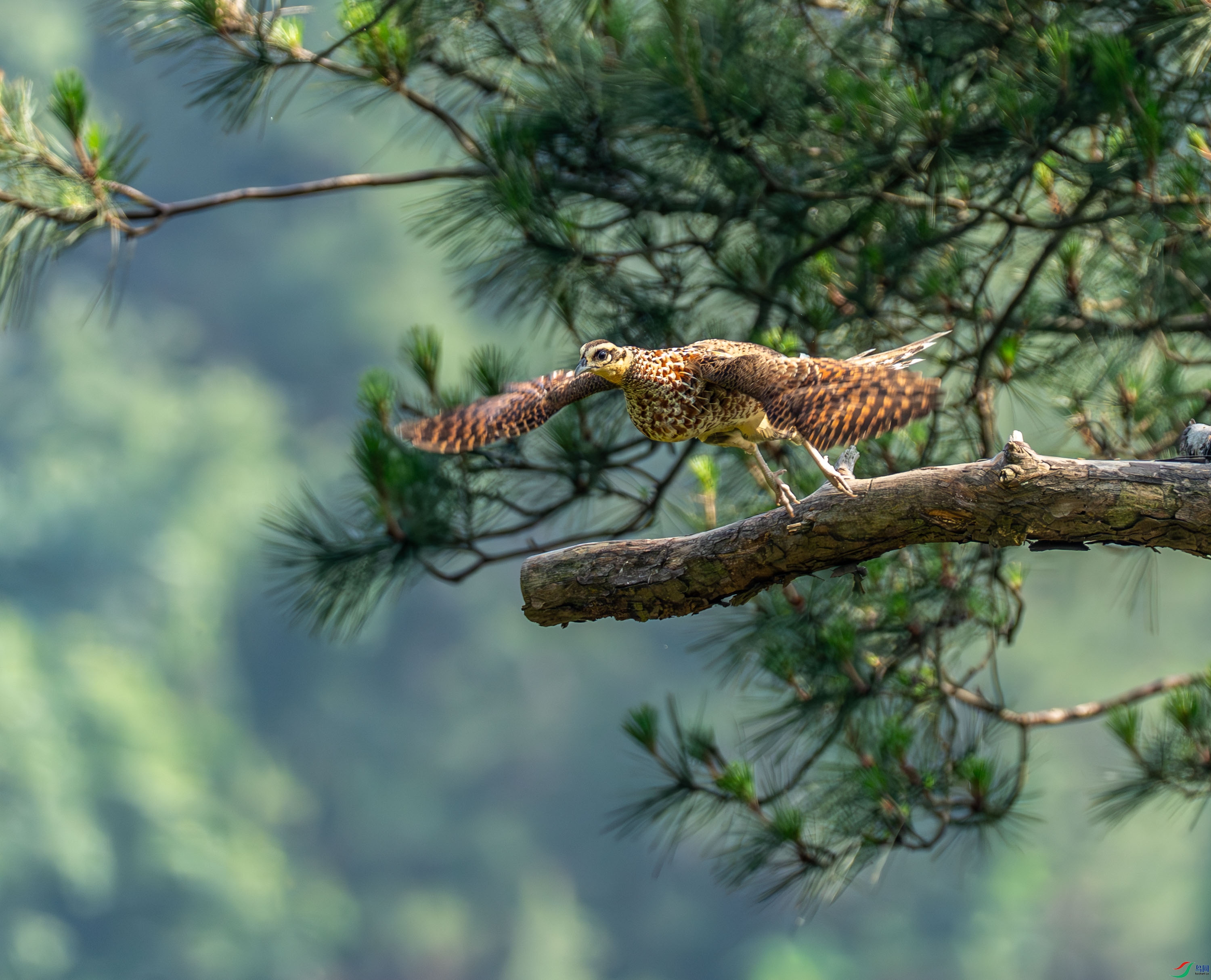�׹ڳ�β�� (2 - 6)-2.jpg
