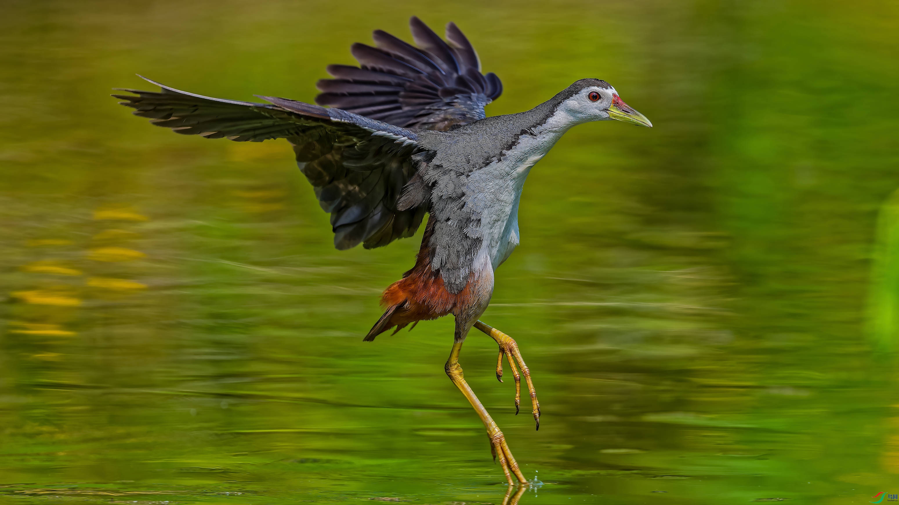 DSC_6424_DXO_DXO.jpg