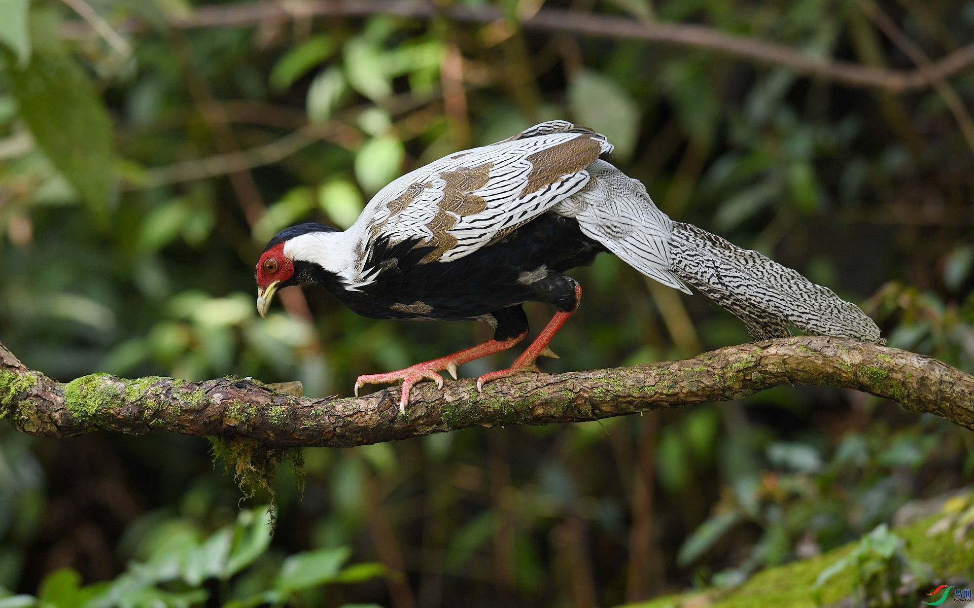 DSC_2853.jpg