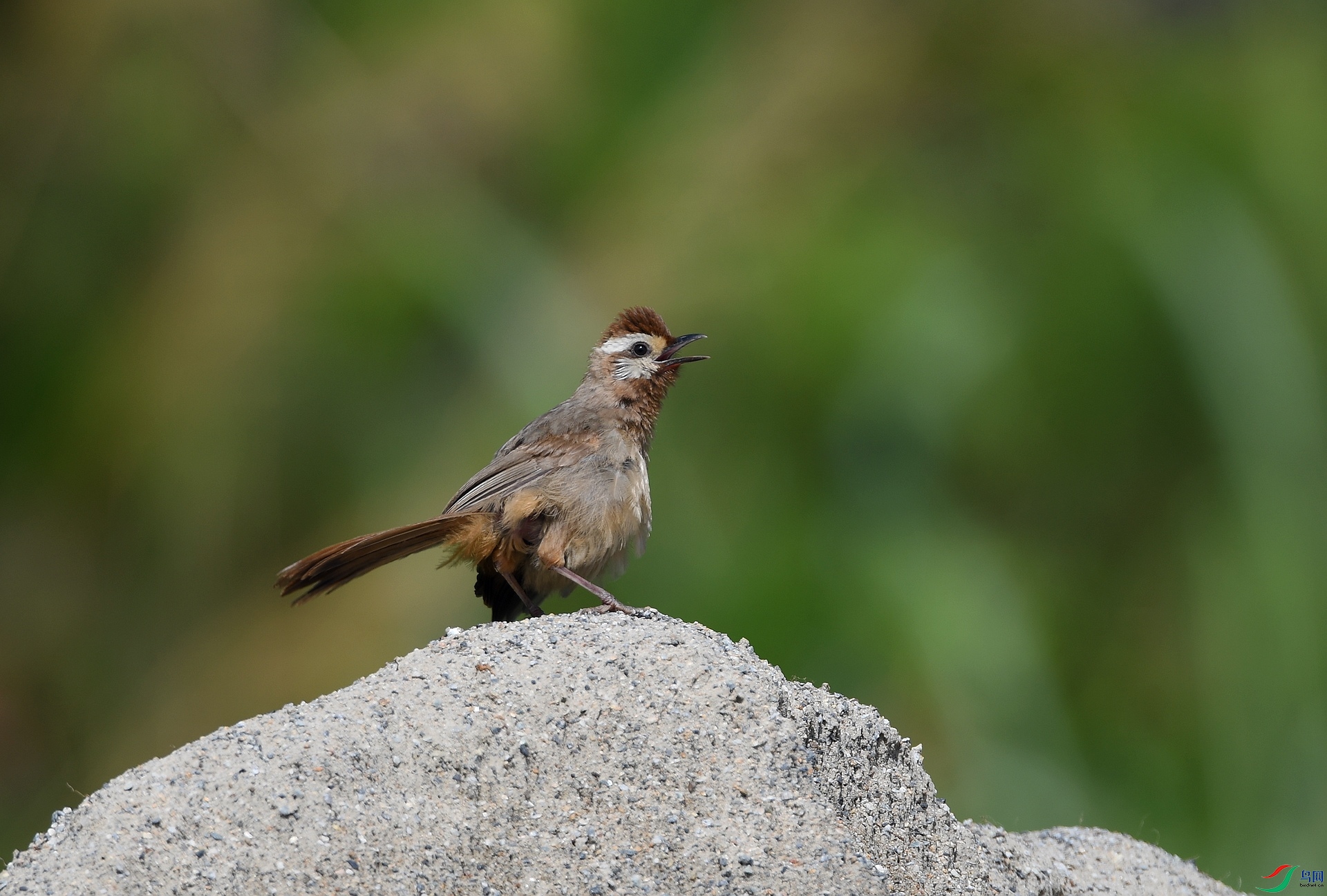 DSC_9014.jpg