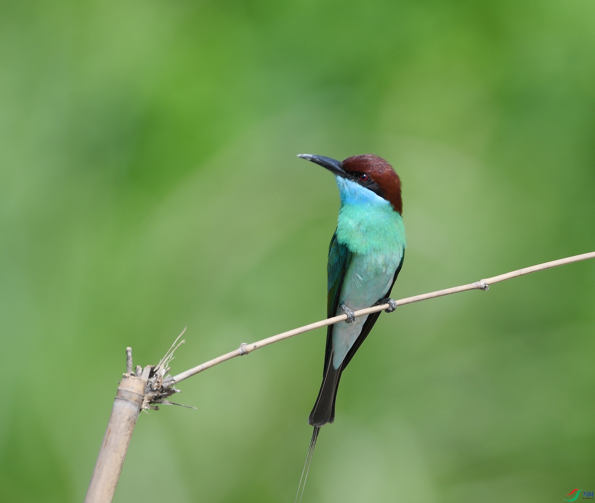 DSC_9034.jpg