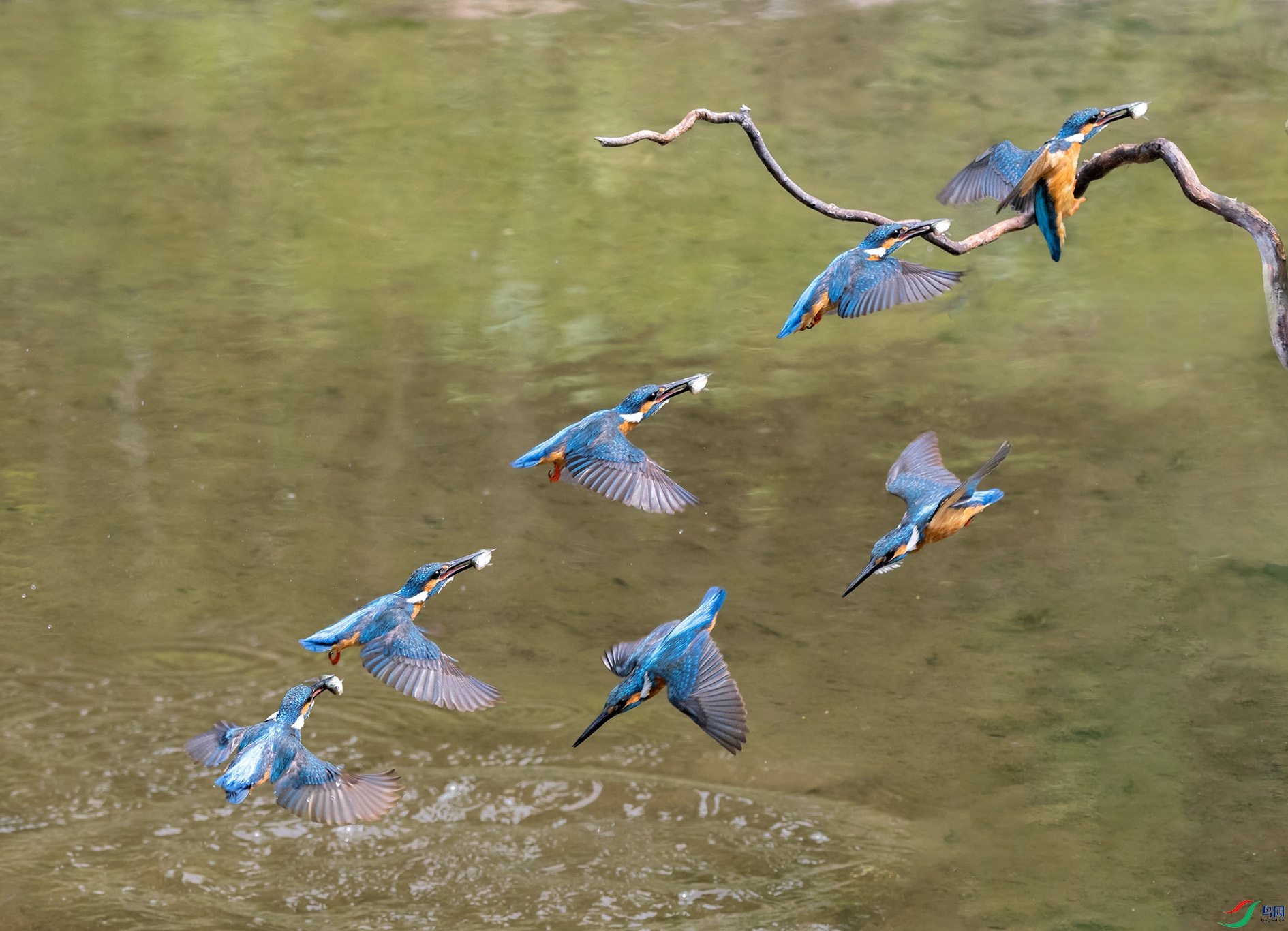 DSC_5850_��ͼ�� ����.jpg