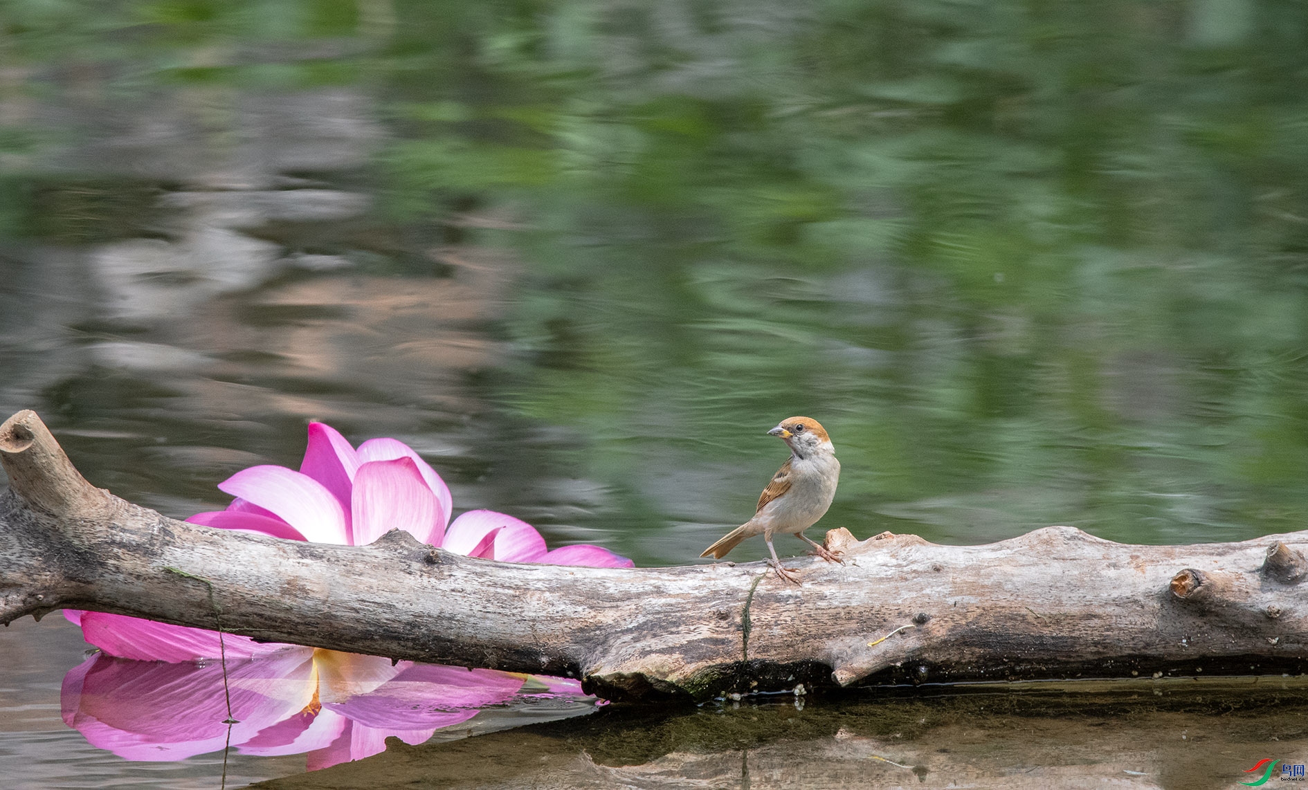 DSC_5615_��ͼ�� ����.jpg