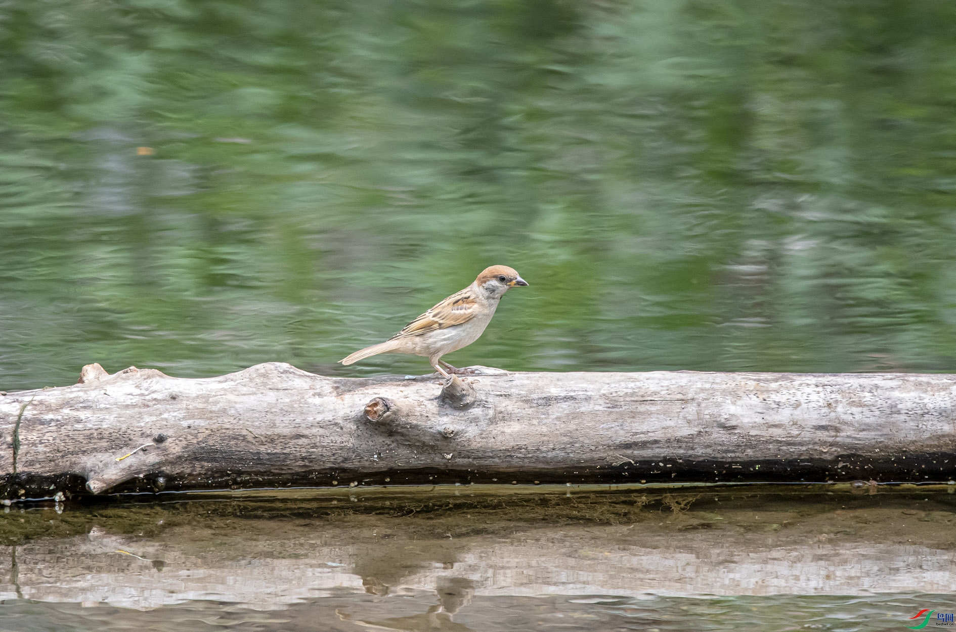 DSC_5621_��ͼ�� ����.jpg