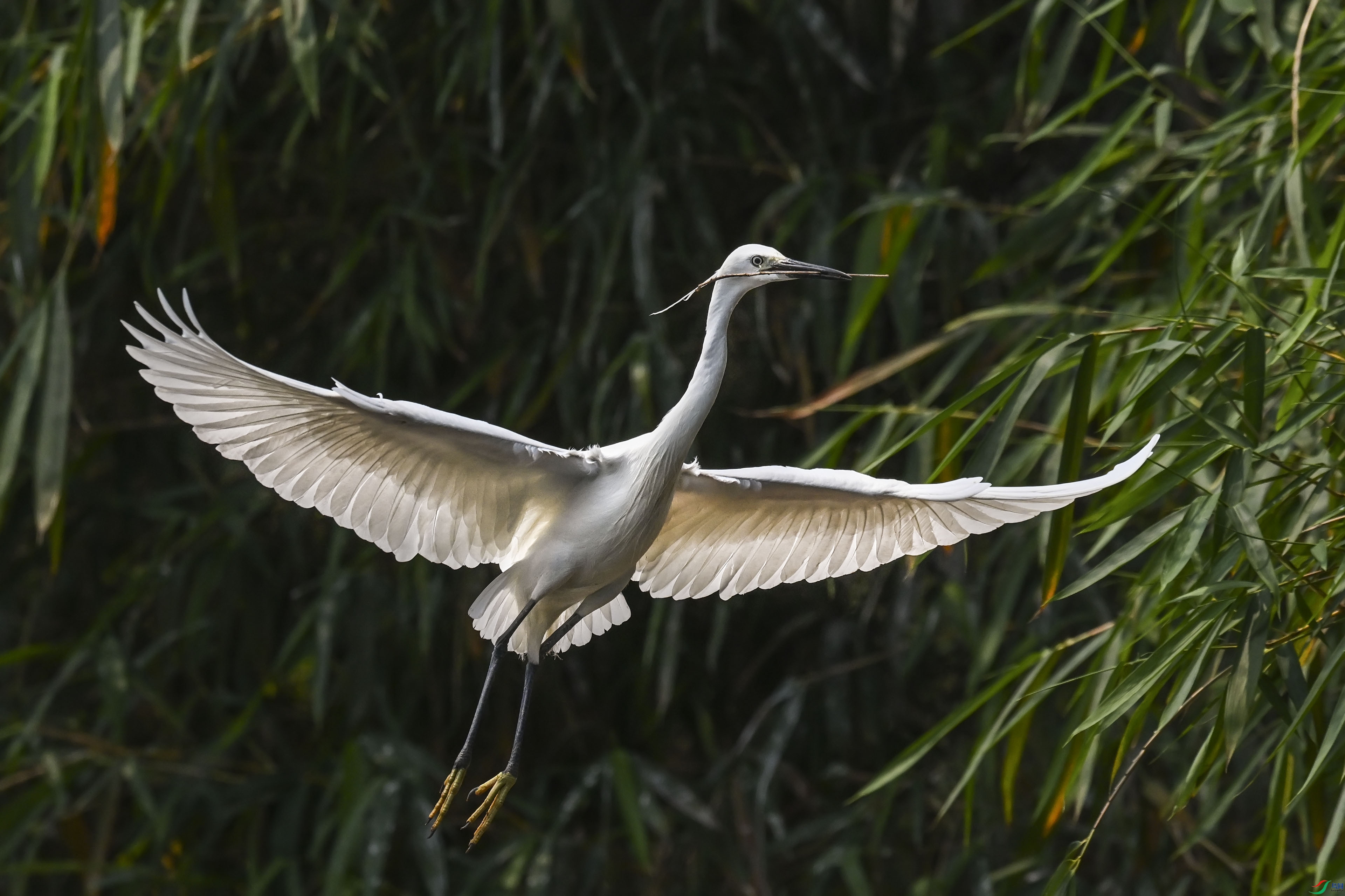 DSC_6341.jpg