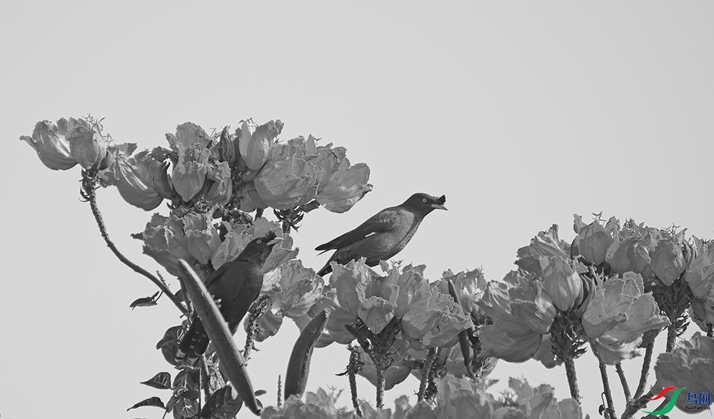 DSCF2073.1.jpg