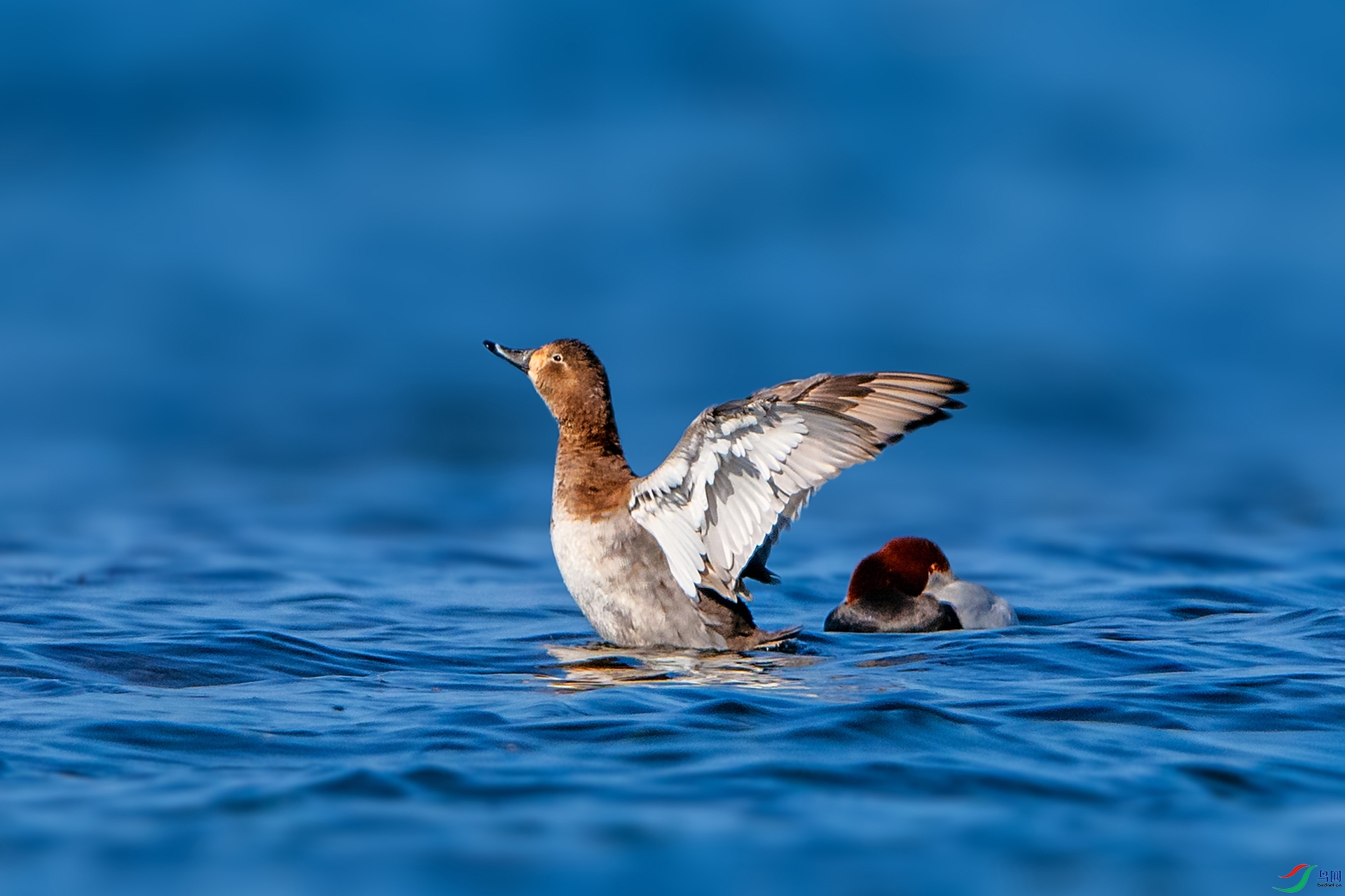 _AUU5029��ͷǱѼ(24.2.1).jpg