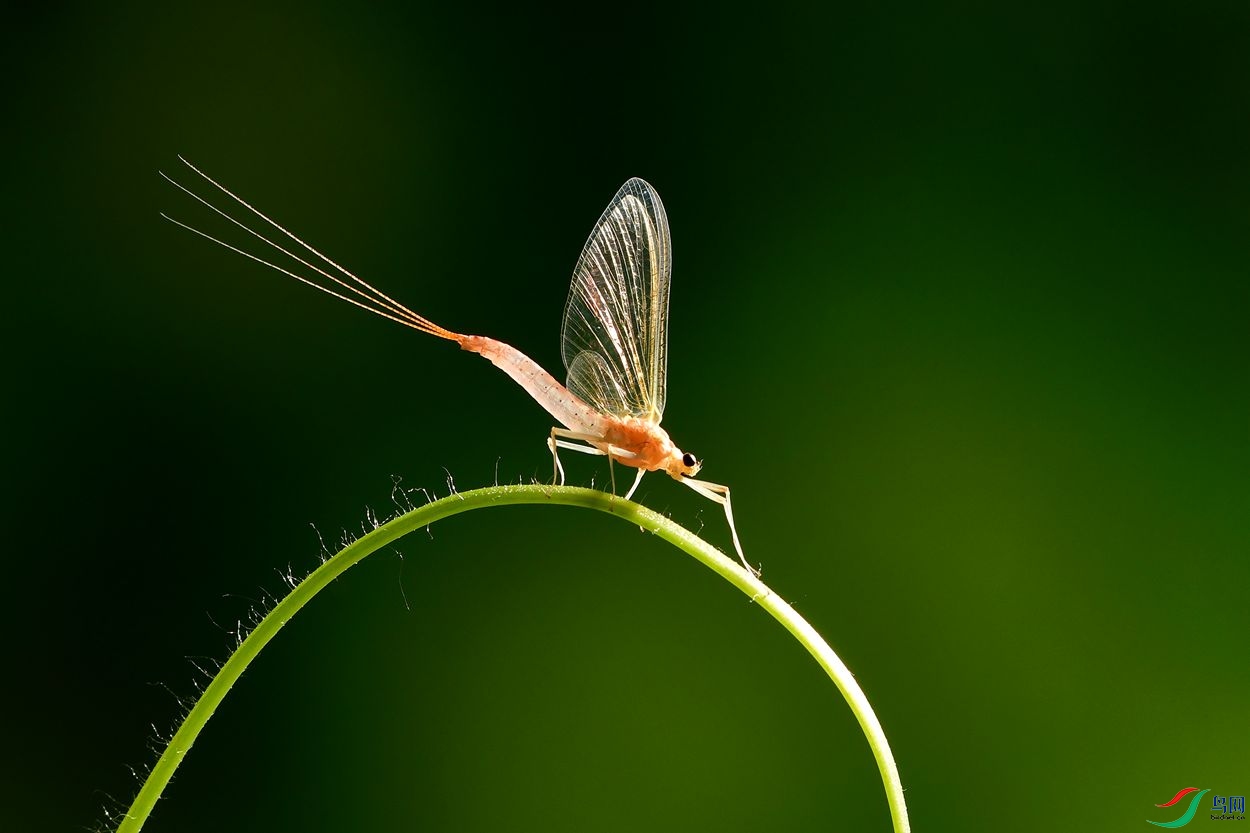DSC_3347_����.jpg