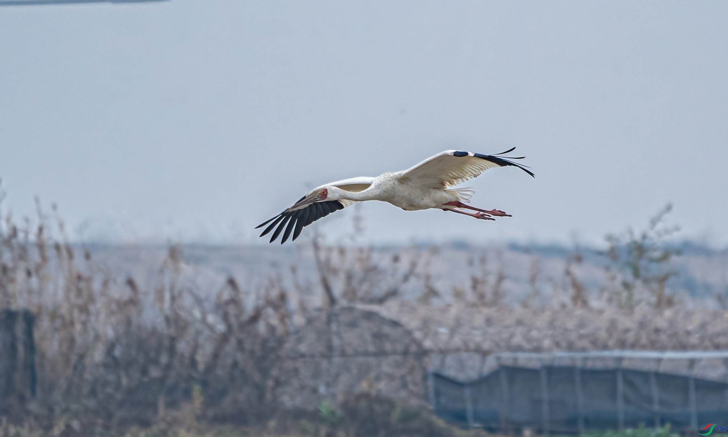 DSC09850w.jpg