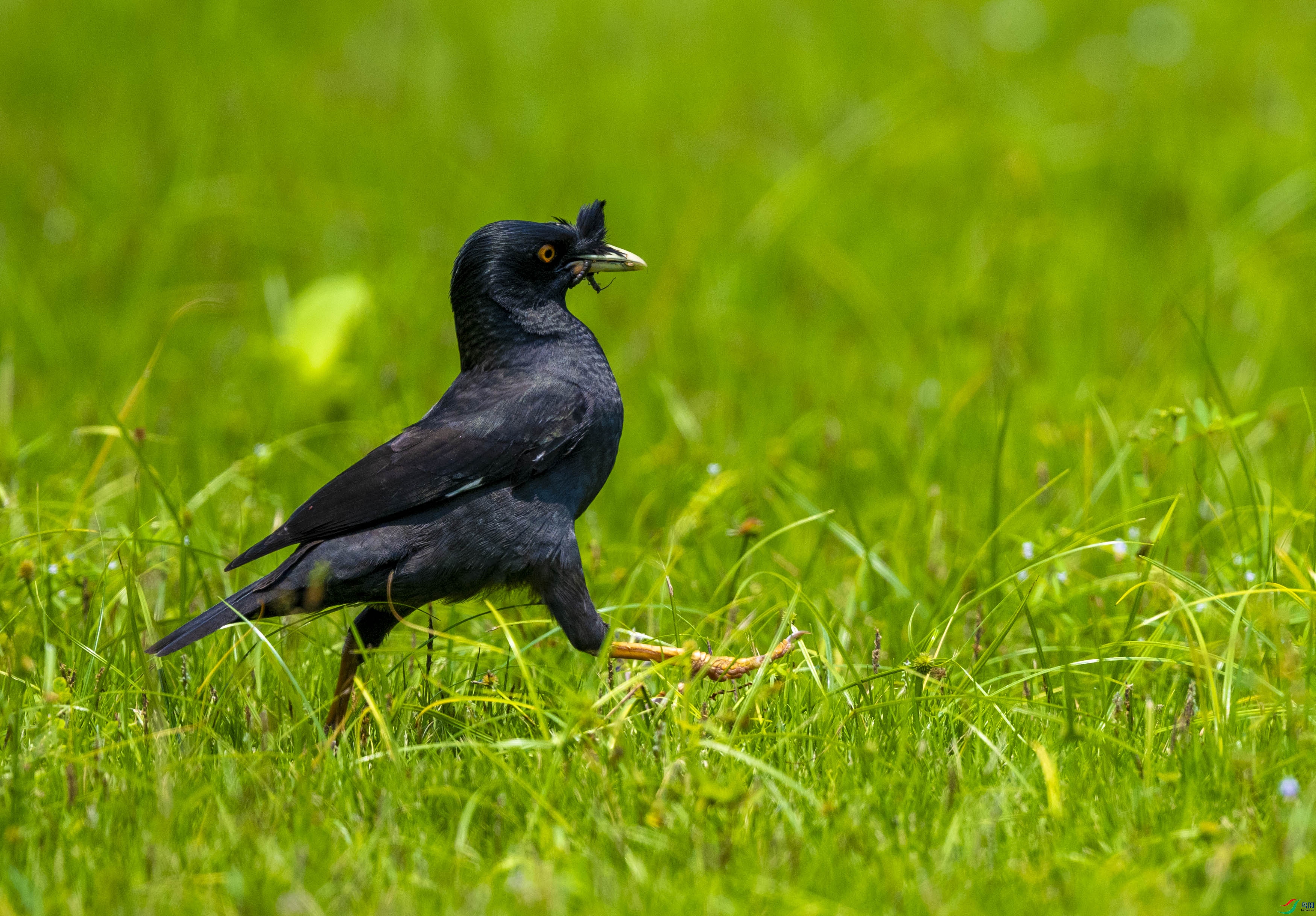DSC_2112.jpg