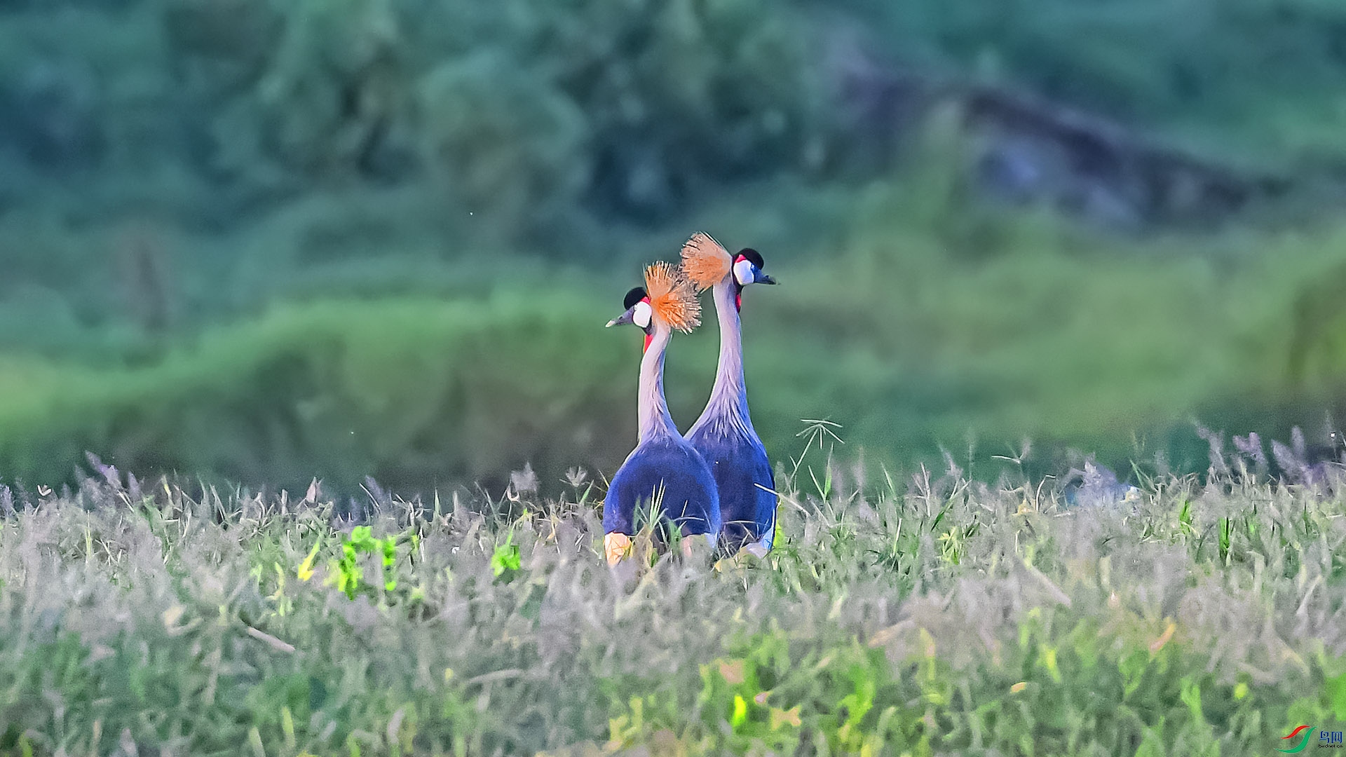 DSC_8264.jpg